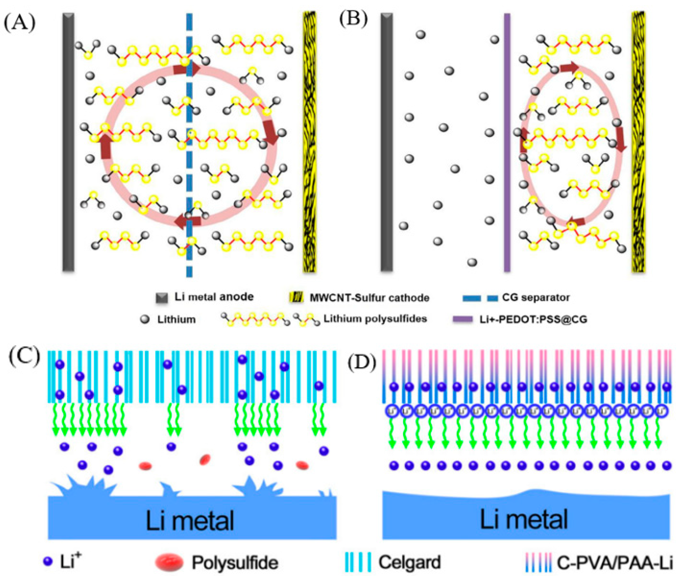 Polymers 15 00993 g007 Polymers 15 00993 g007