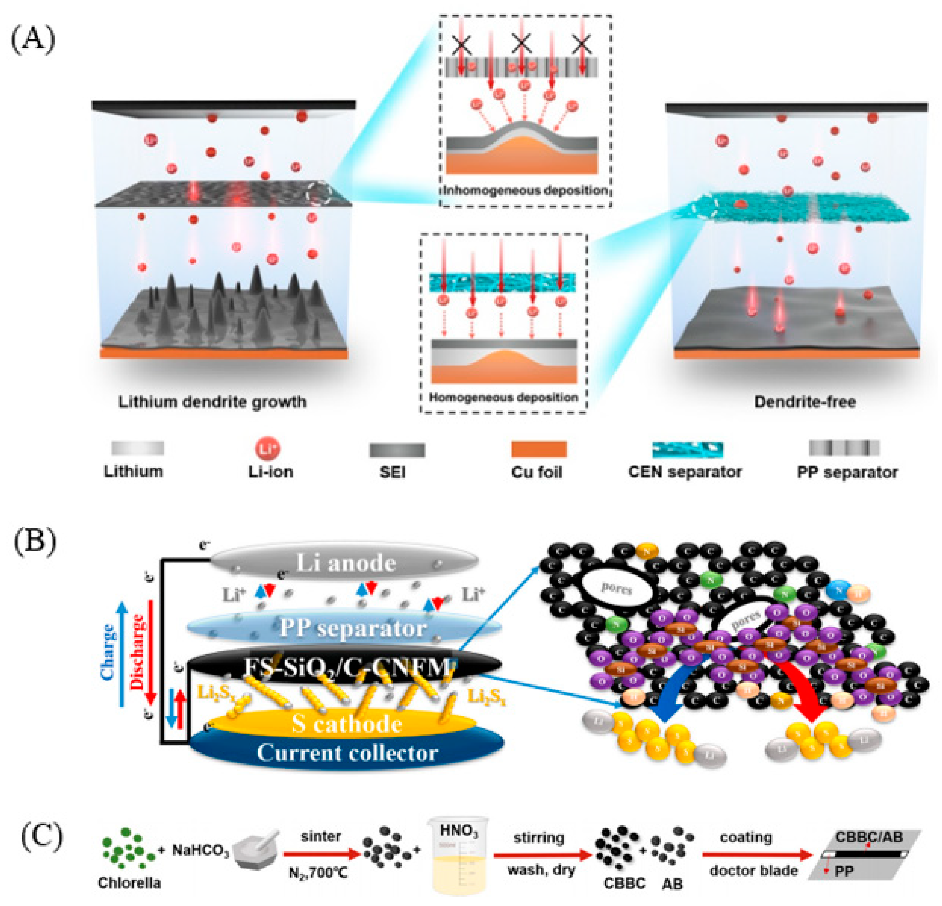 Polymers 15 00993 g010 Polymers 15 00993 g010