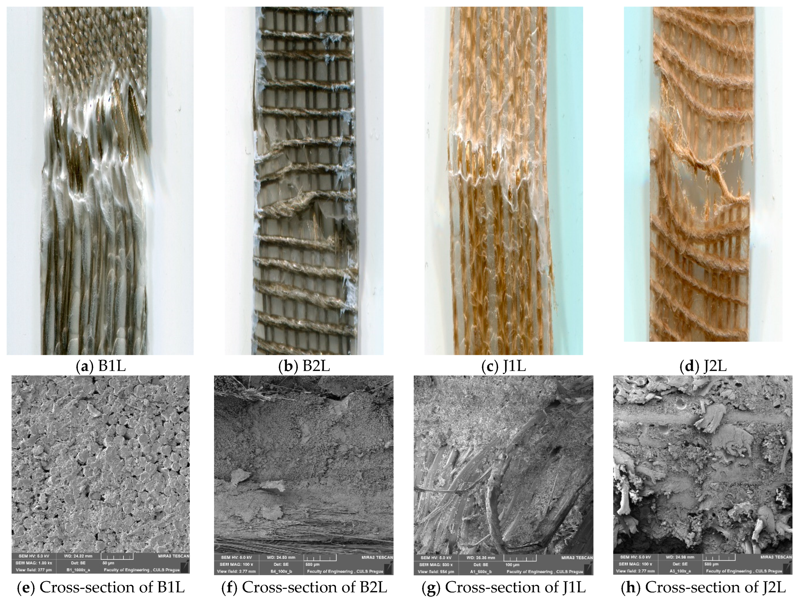 Polymers 15 00994 g004 Polymers 15 00994 g004