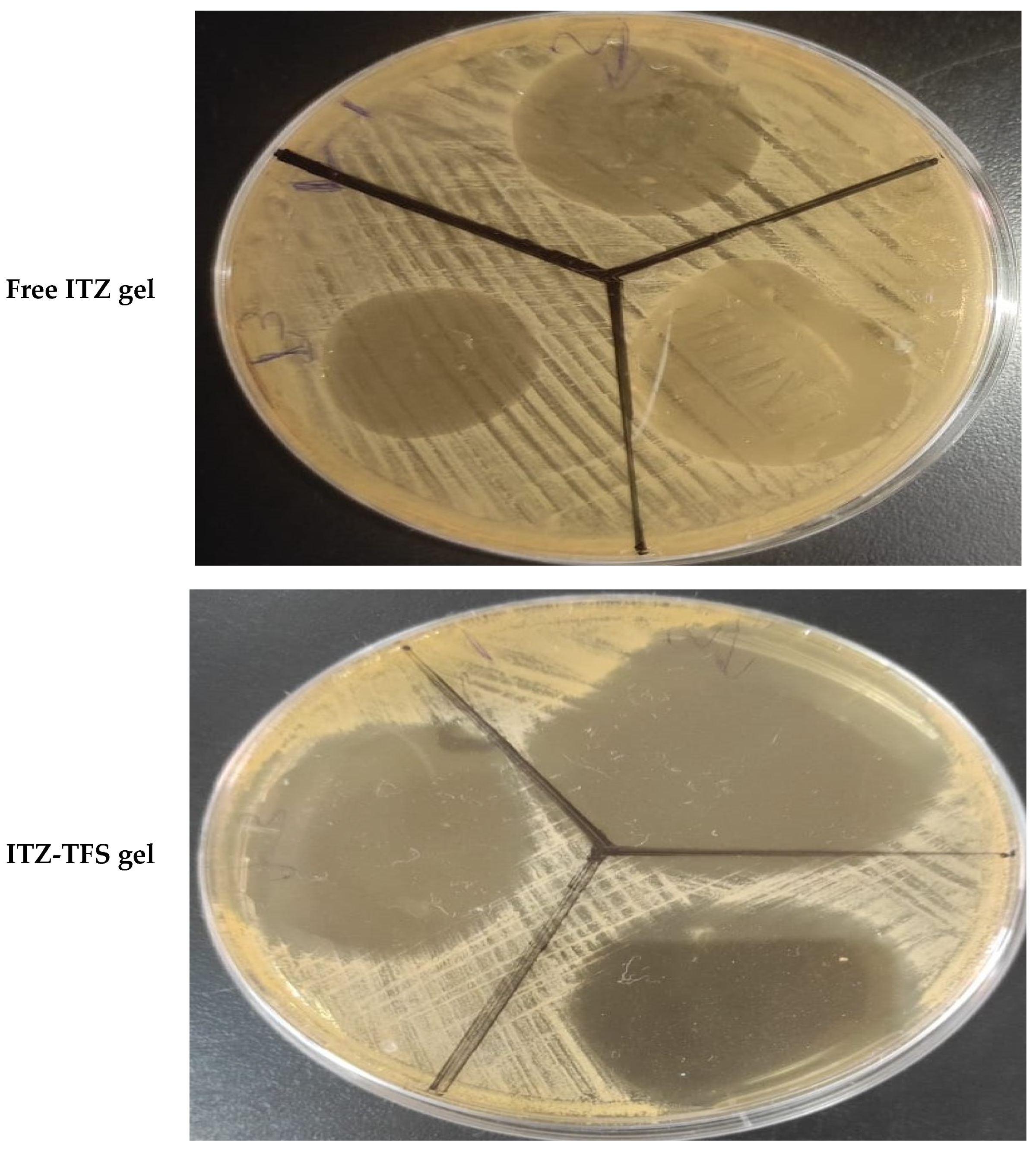 Polymers 15 00995 g009