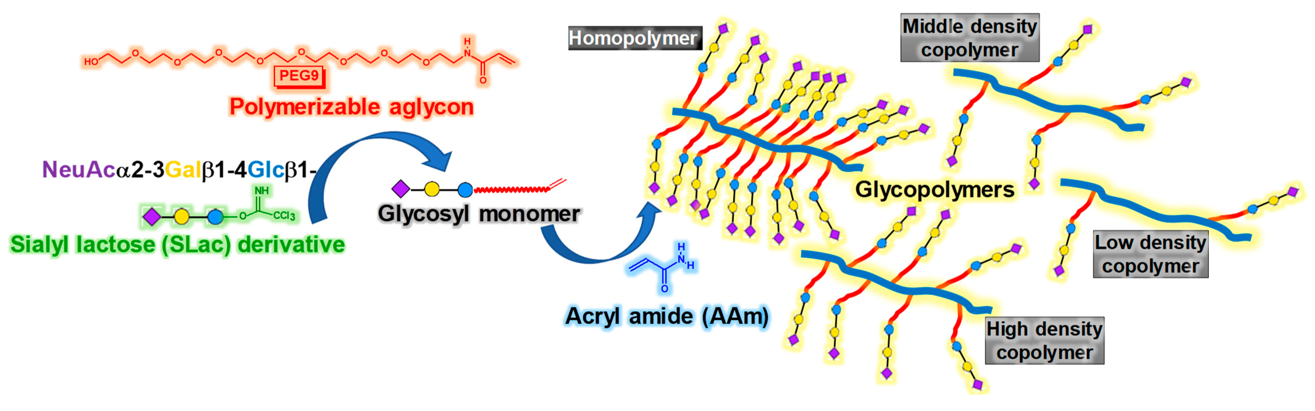 Polymers 15 00998 g002 Polymers 15 00998 g002