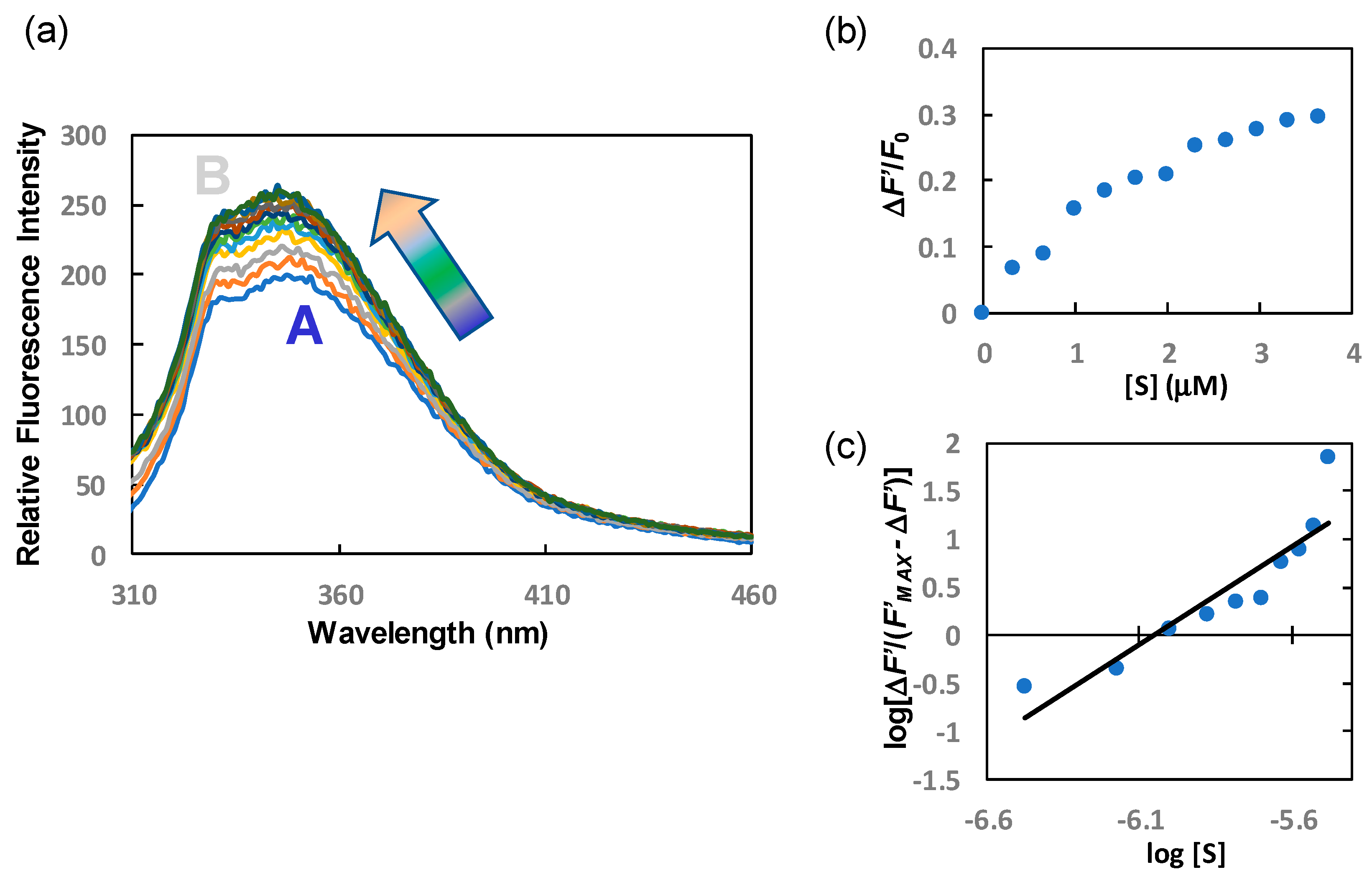 Polymers 15 00998 g004 Polymers 15 00998 g004