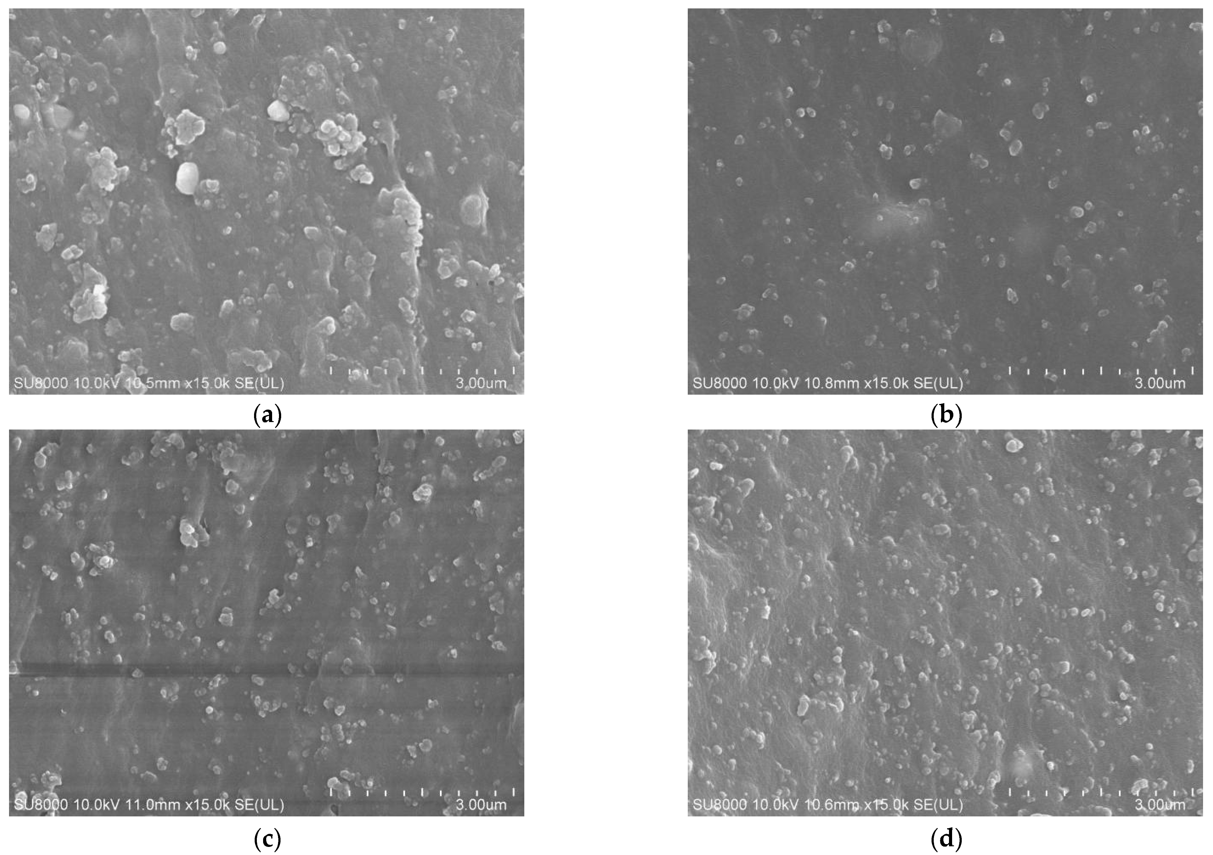 Polymers 15 01000 g007 Polymers 15 01000 g007