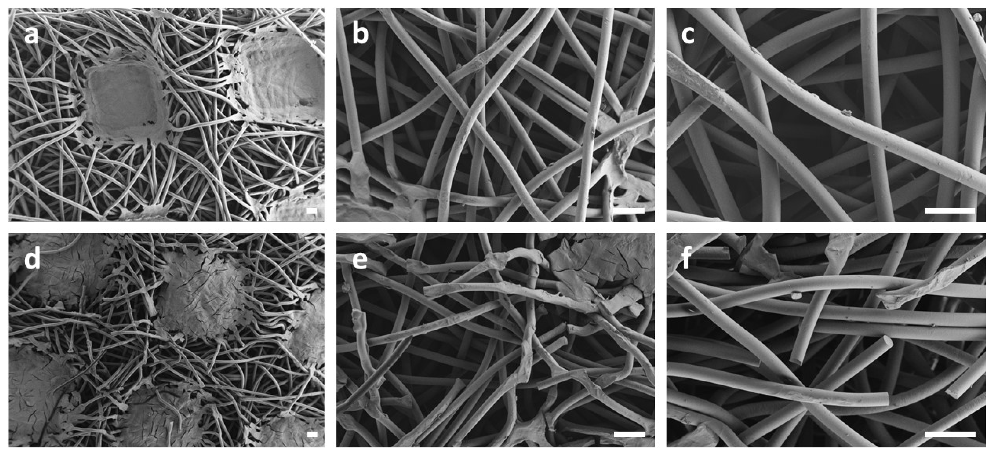 Polymers 15 01001 g002 Polymers 15 01001 g002
