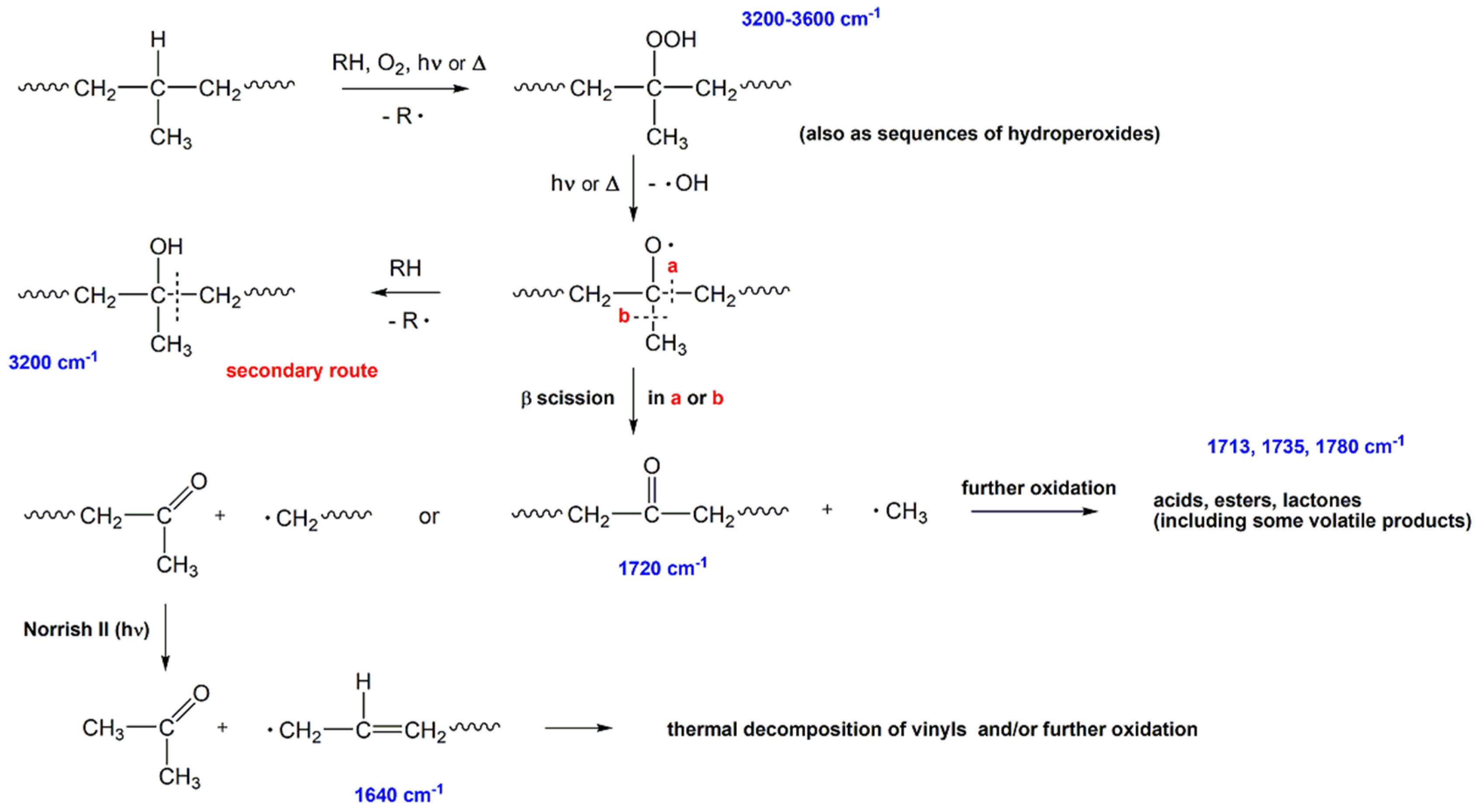 Polymers 15 01001 sch001 Polymers 15 01001 sch001