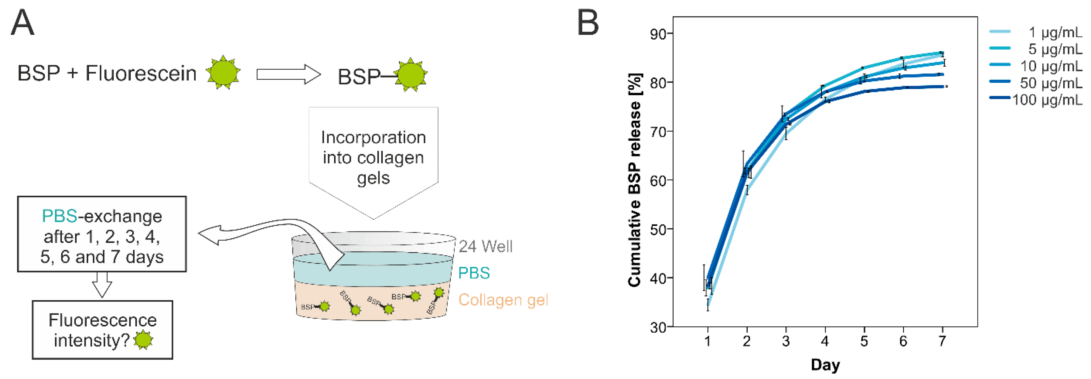 Polymers 15 01007 g001 Polymers 15 01007 g001