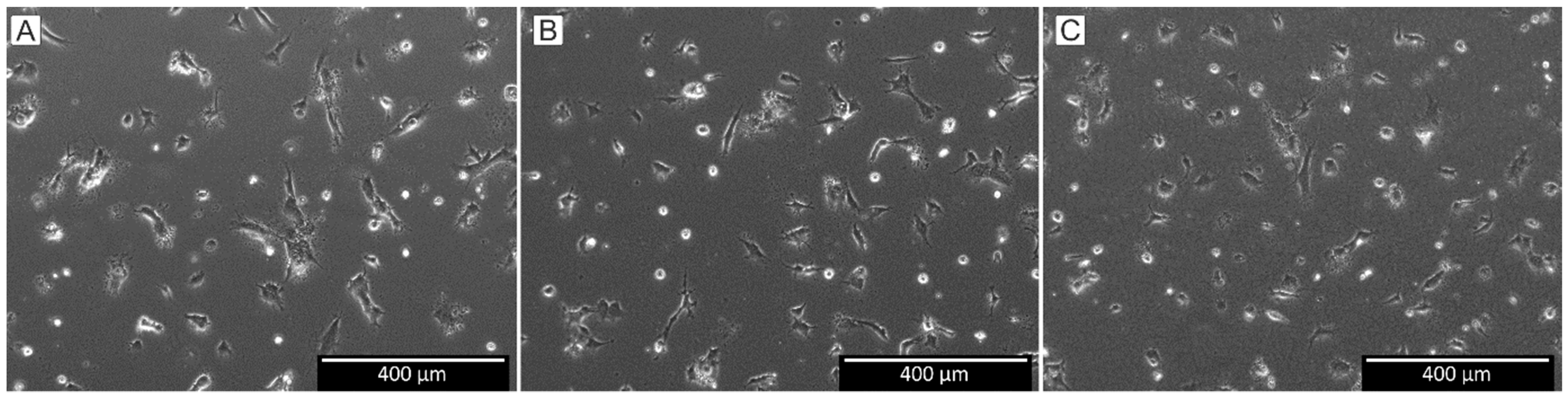 Polymers 15 01007 g002 Polymers 15 01007 g002