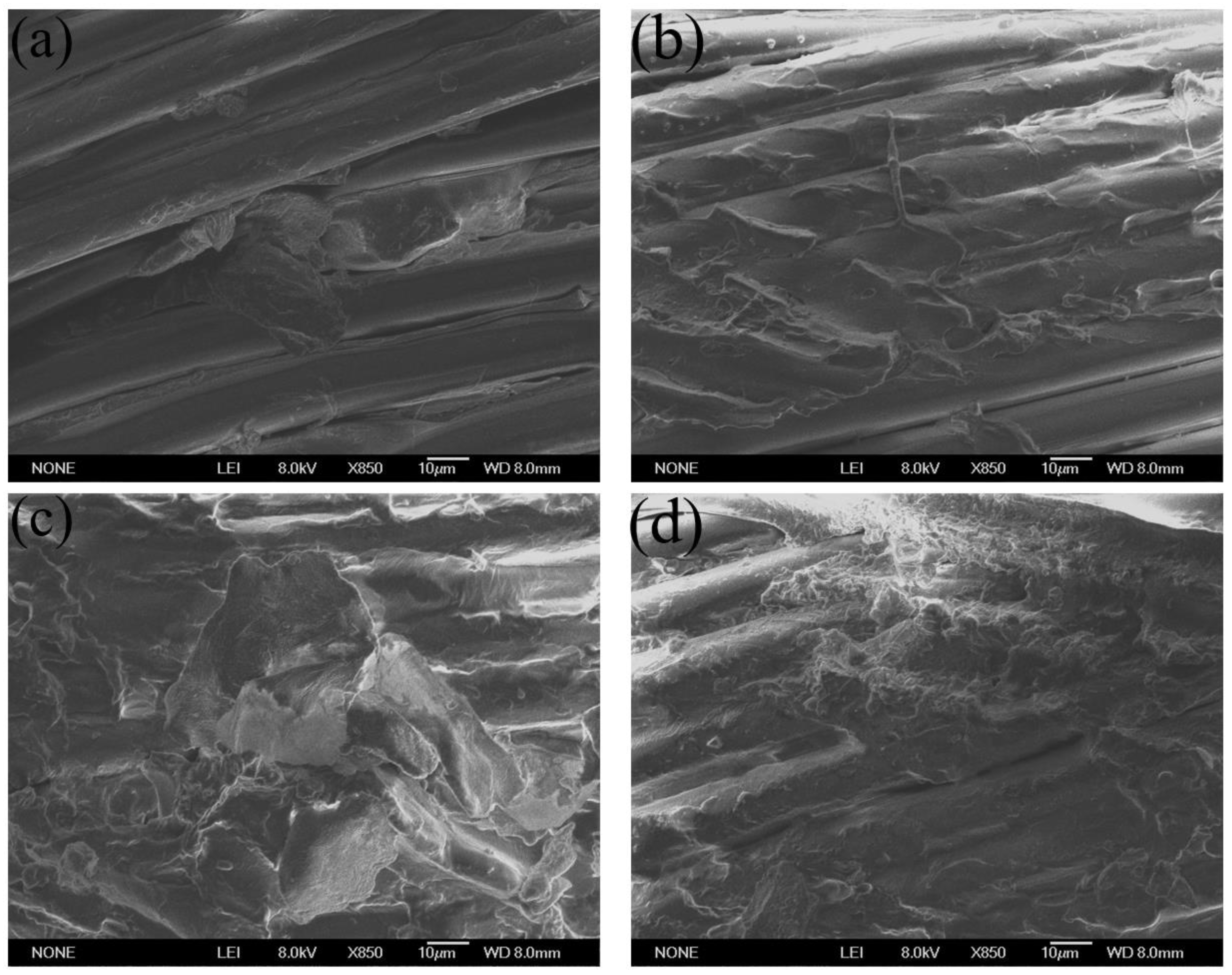Polymers 15 01009 g009 Polymers 15 01009 g009