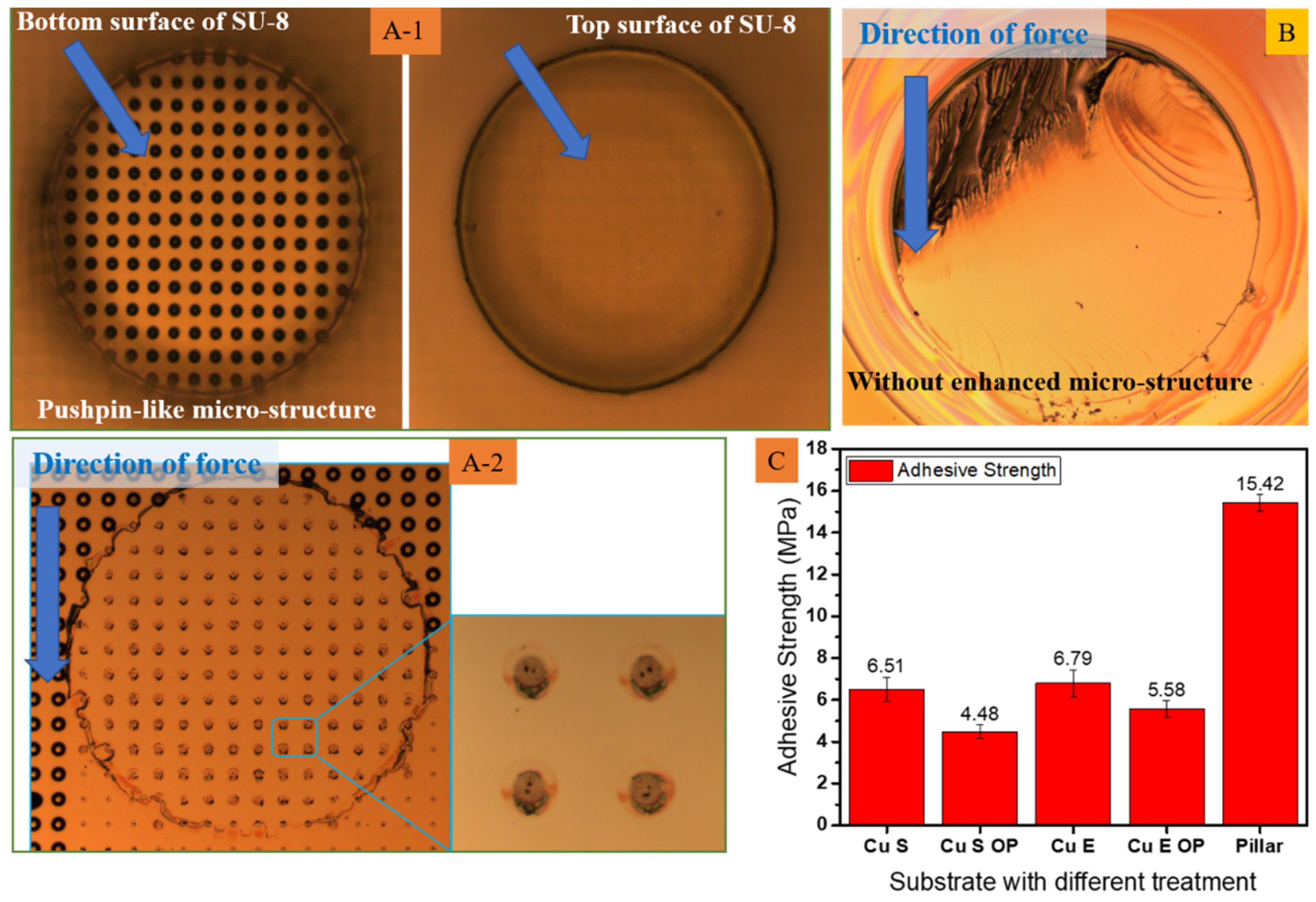 Polymers 15 01015 g007 Polymers 15 01015 g007