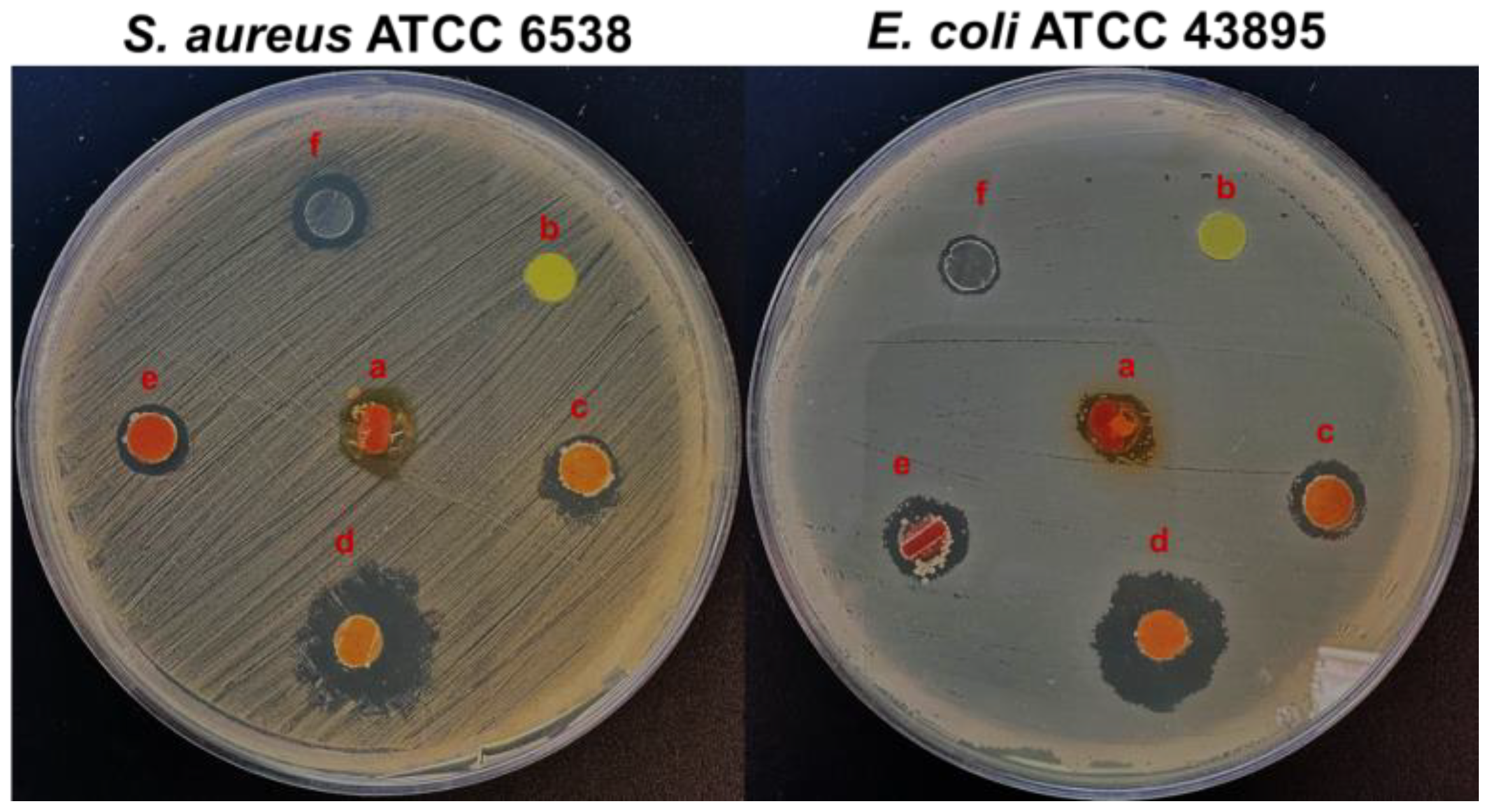 Polymers 15 01021 g006 Polymers 15 01021 g006