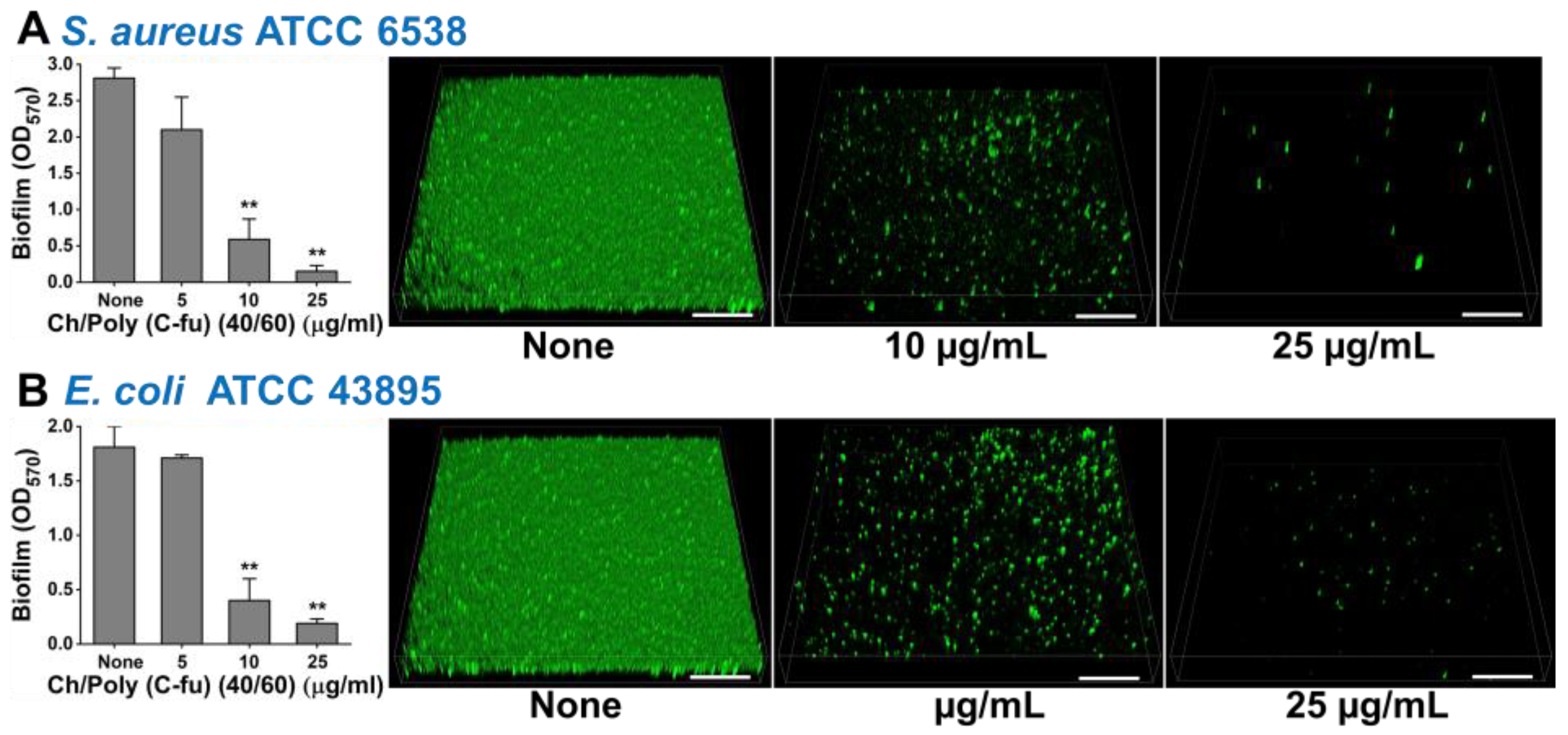Polymers 15 01021 g007 Polymers 15 01021 g007