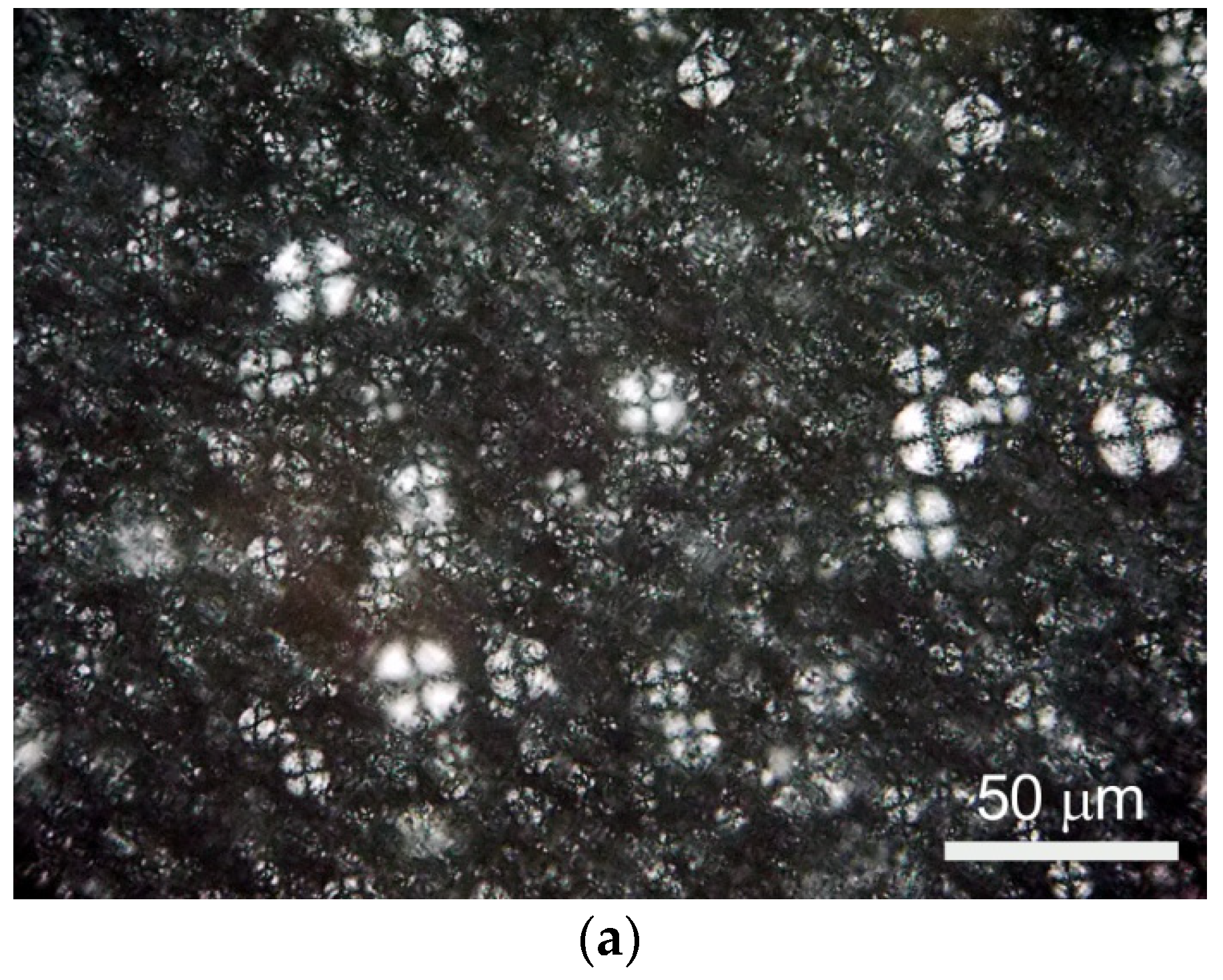 Polymers 15 01027 g002a