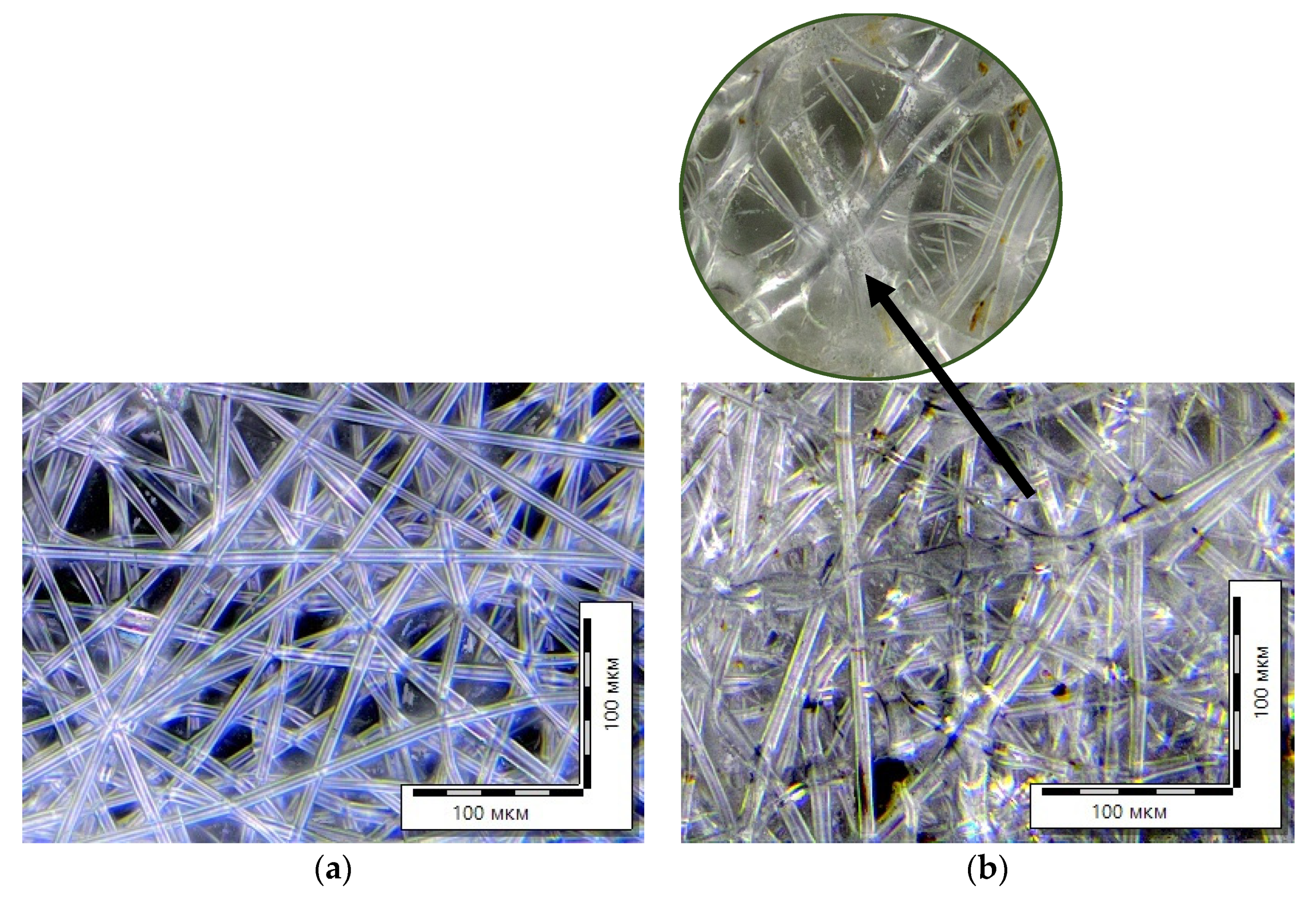 Polymers 15 01029 g008 Polymers 15 01029 g008