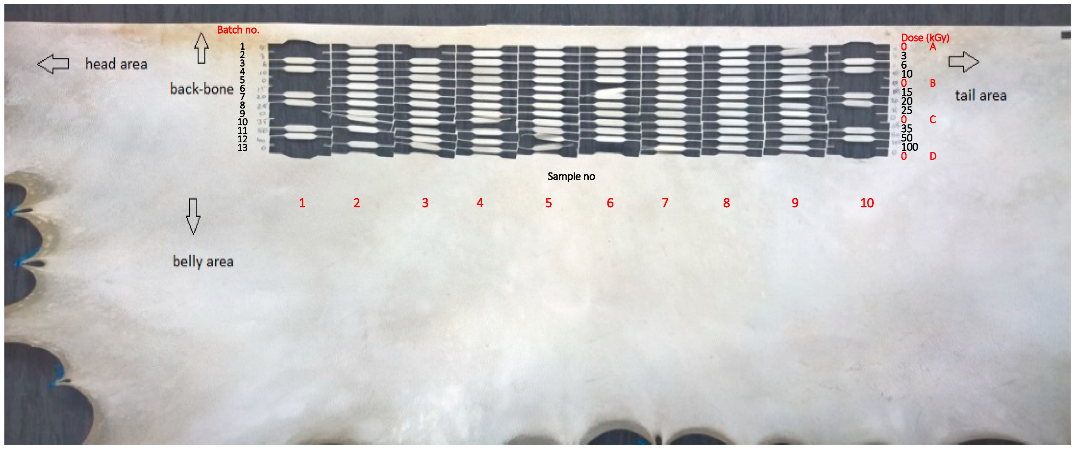 Polymers 15 01034 g001 Polymers 15 01034 g001
