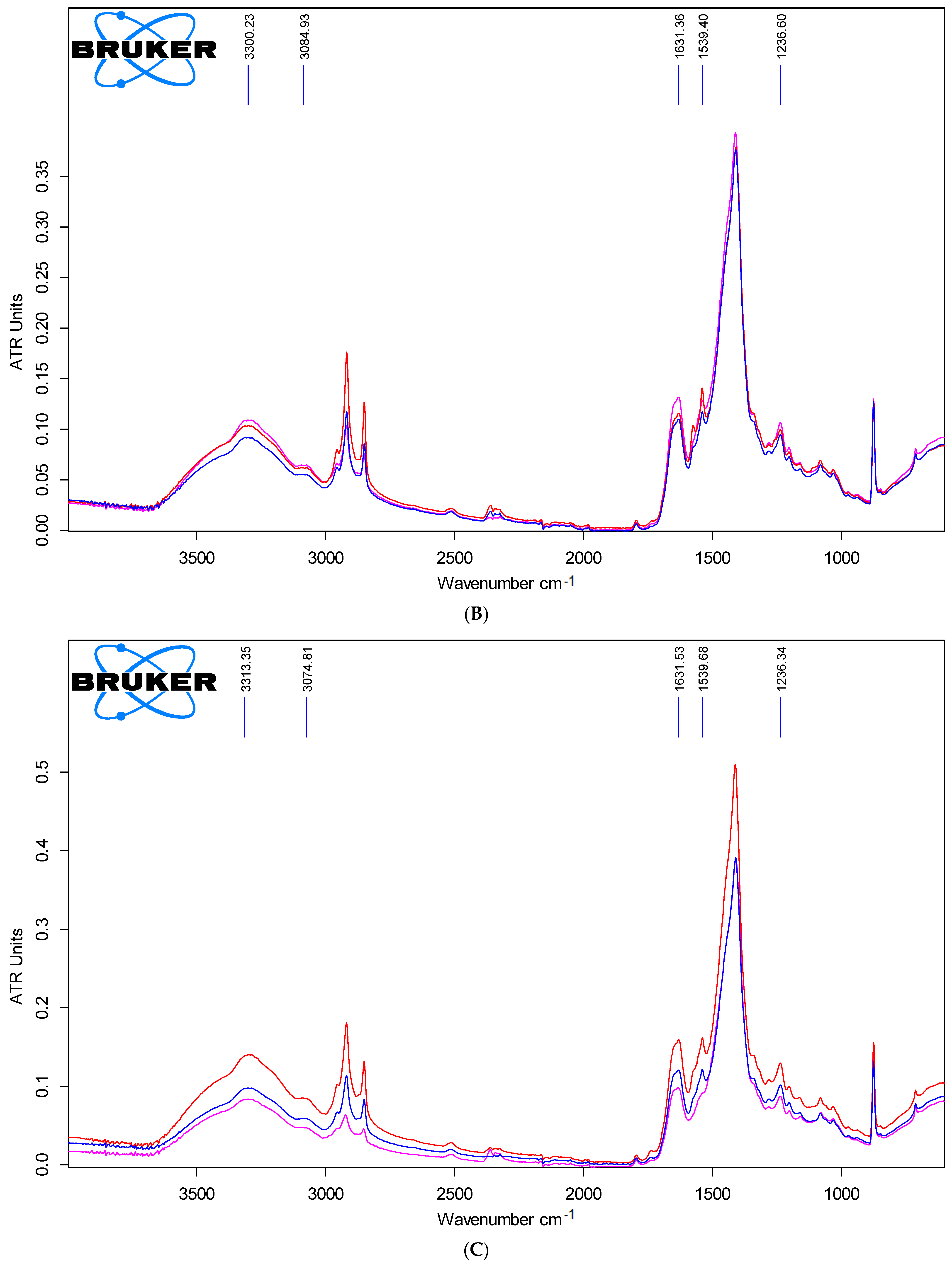 Polymers 15 01034 g006b Polymers 15 01034 g006b