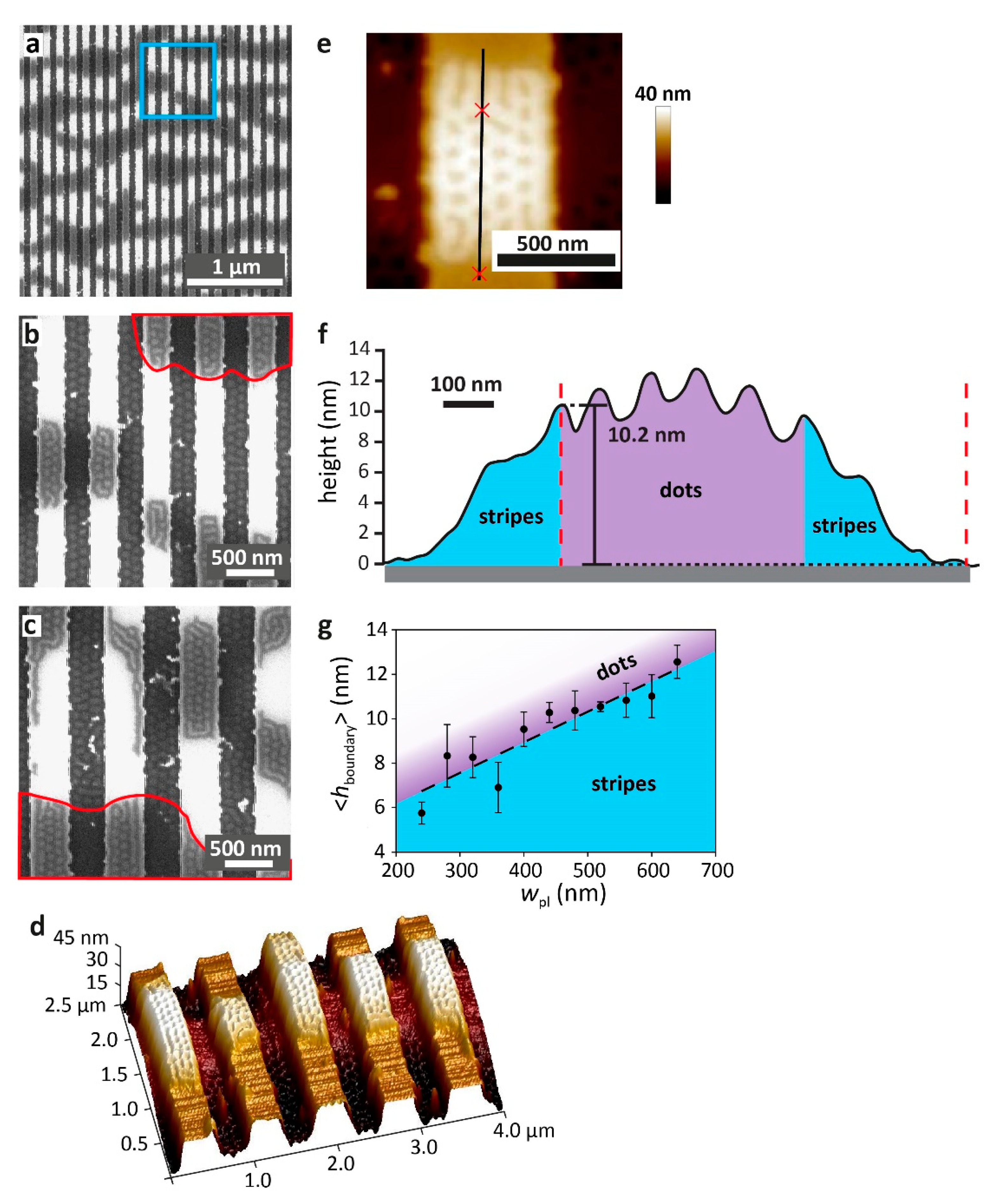 Polymers 15 01035 g007