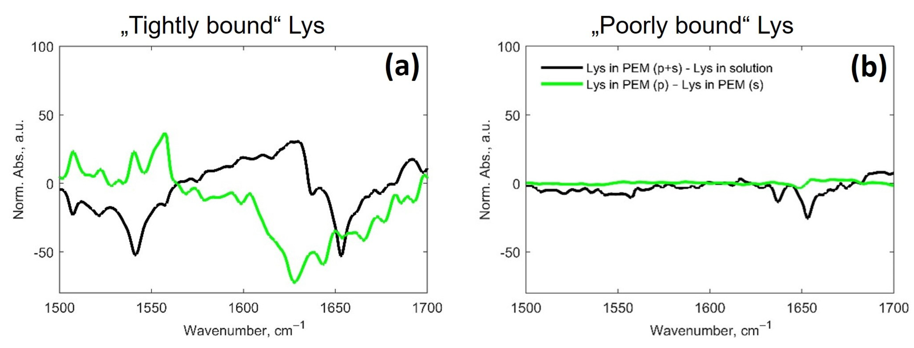 Polymers 15 01036 g007