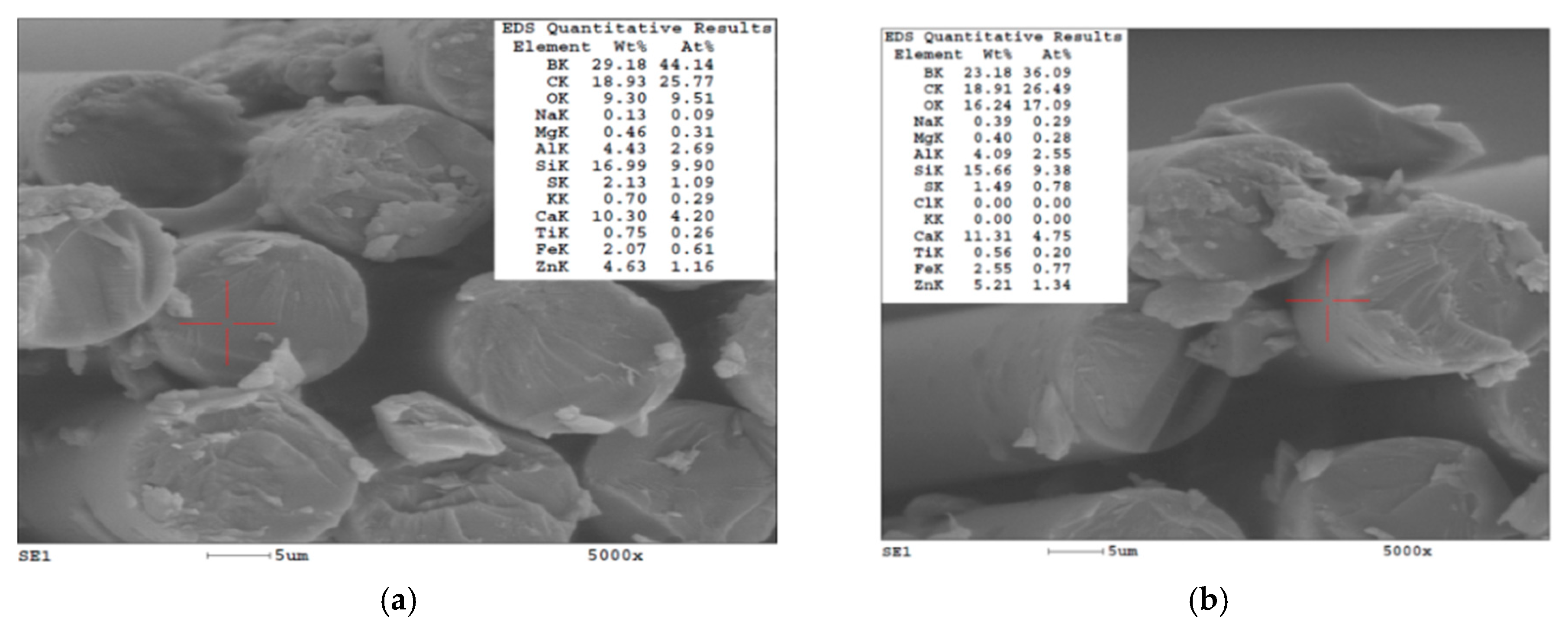 Polymers 15 01039 g001