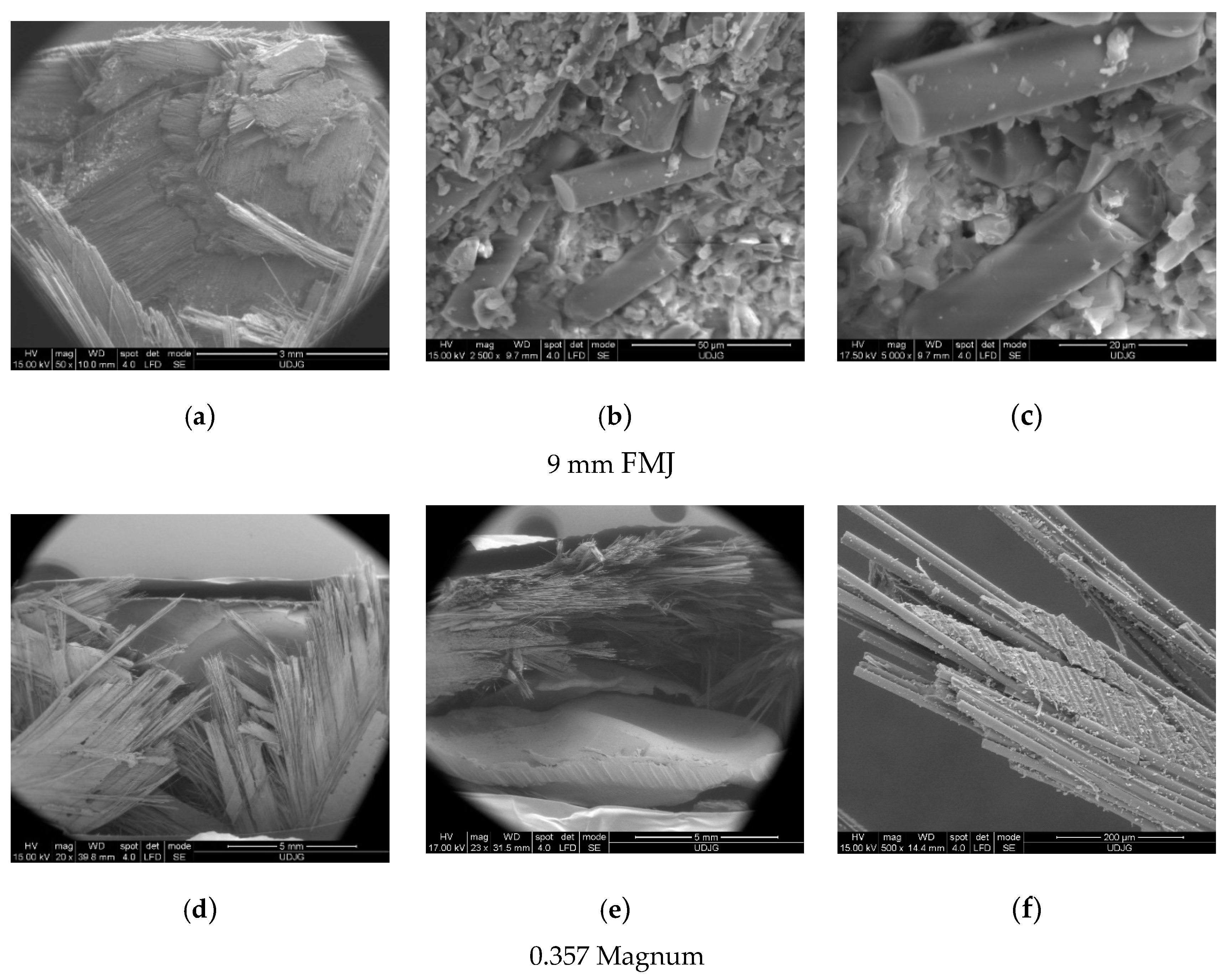 Polymers 15 01039 g012