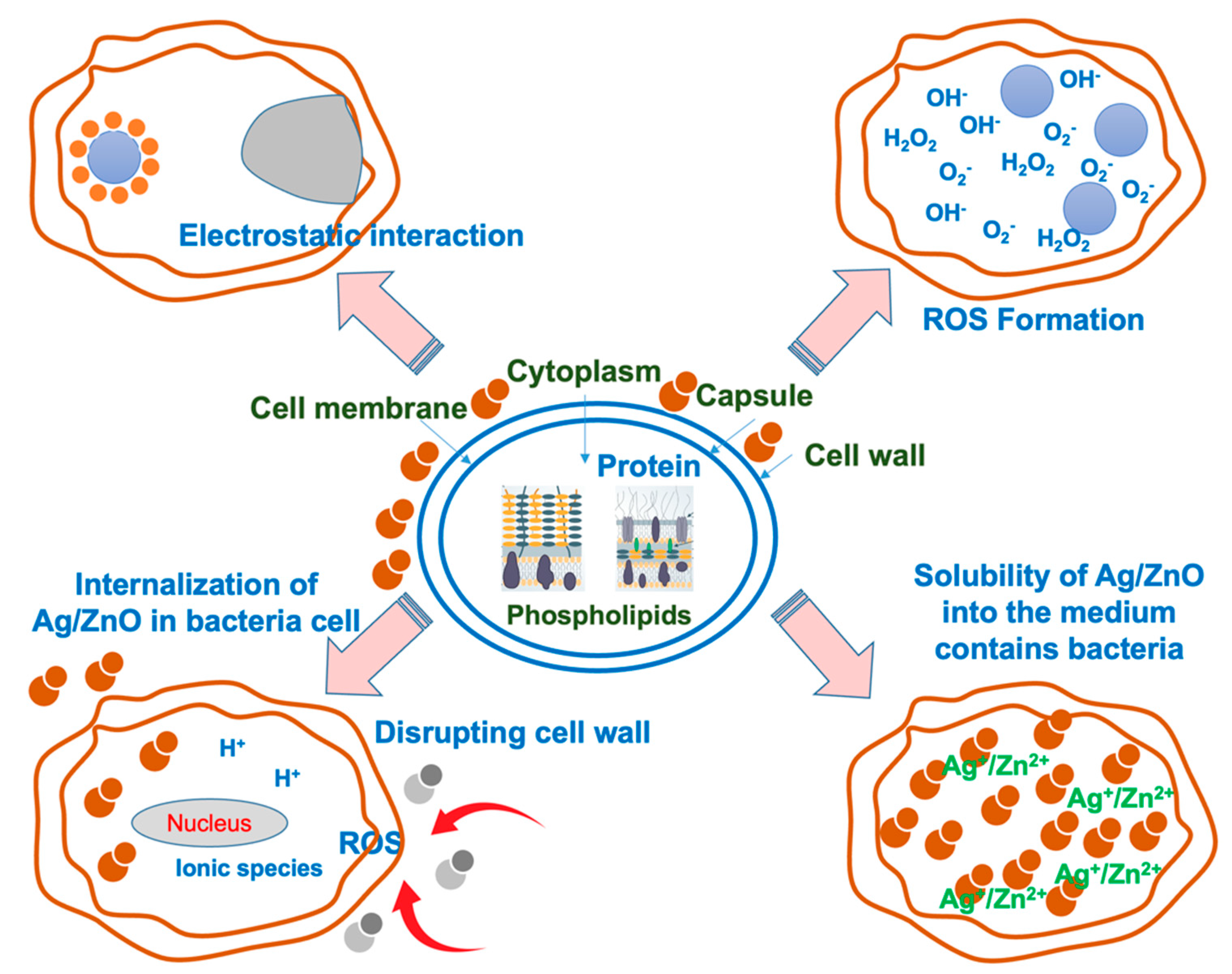 Polymers 15 01040 g010