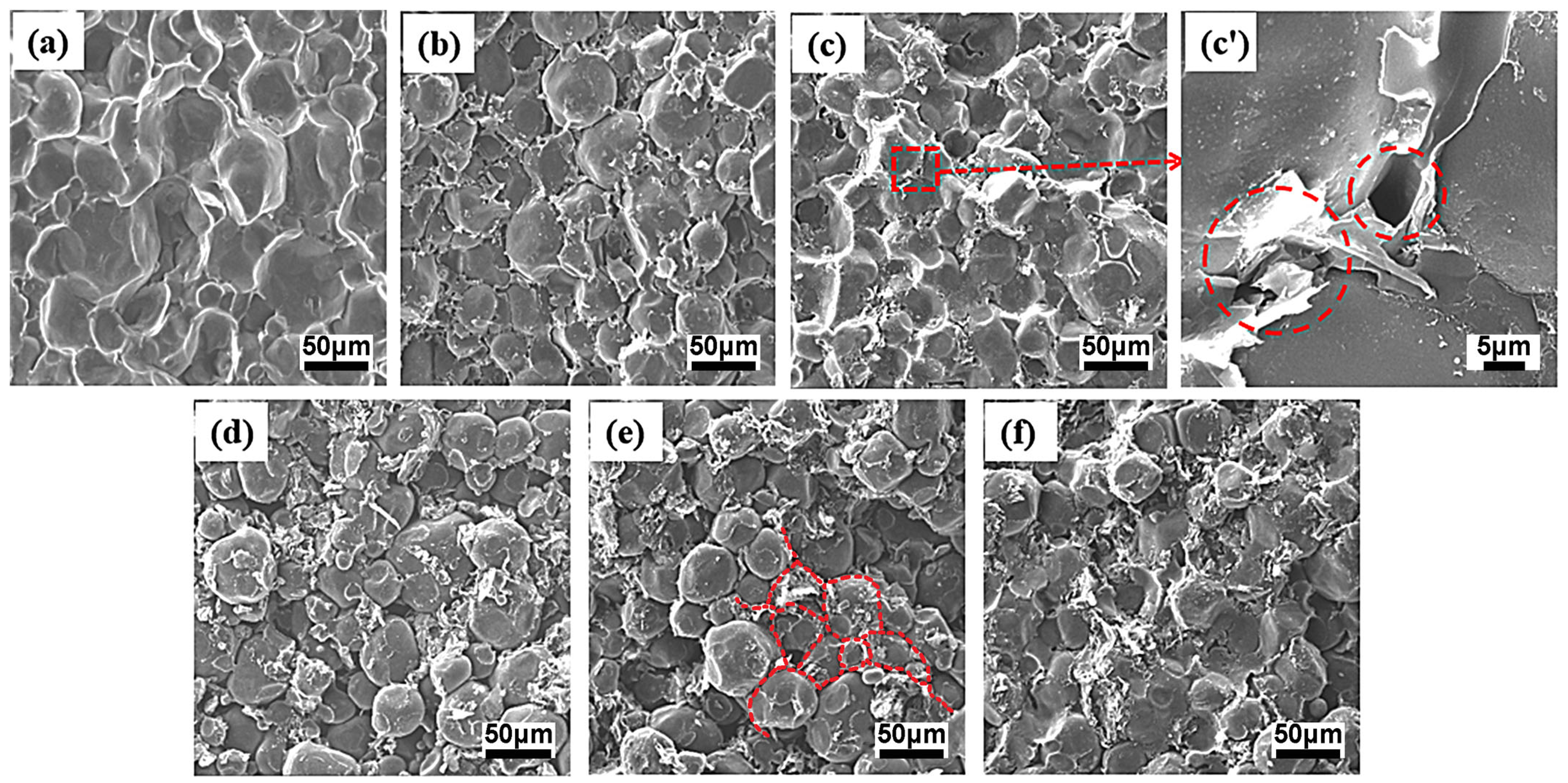 Polymers 15 01041 g005 550