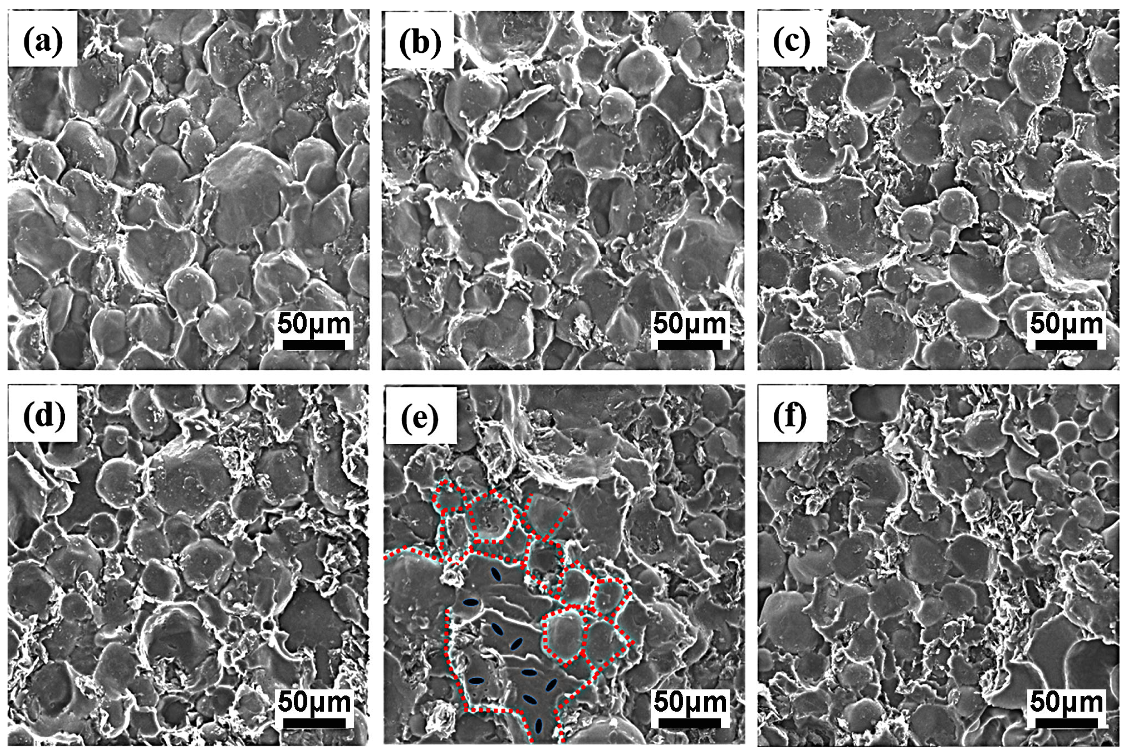 Polymers 15 01041 g006 550