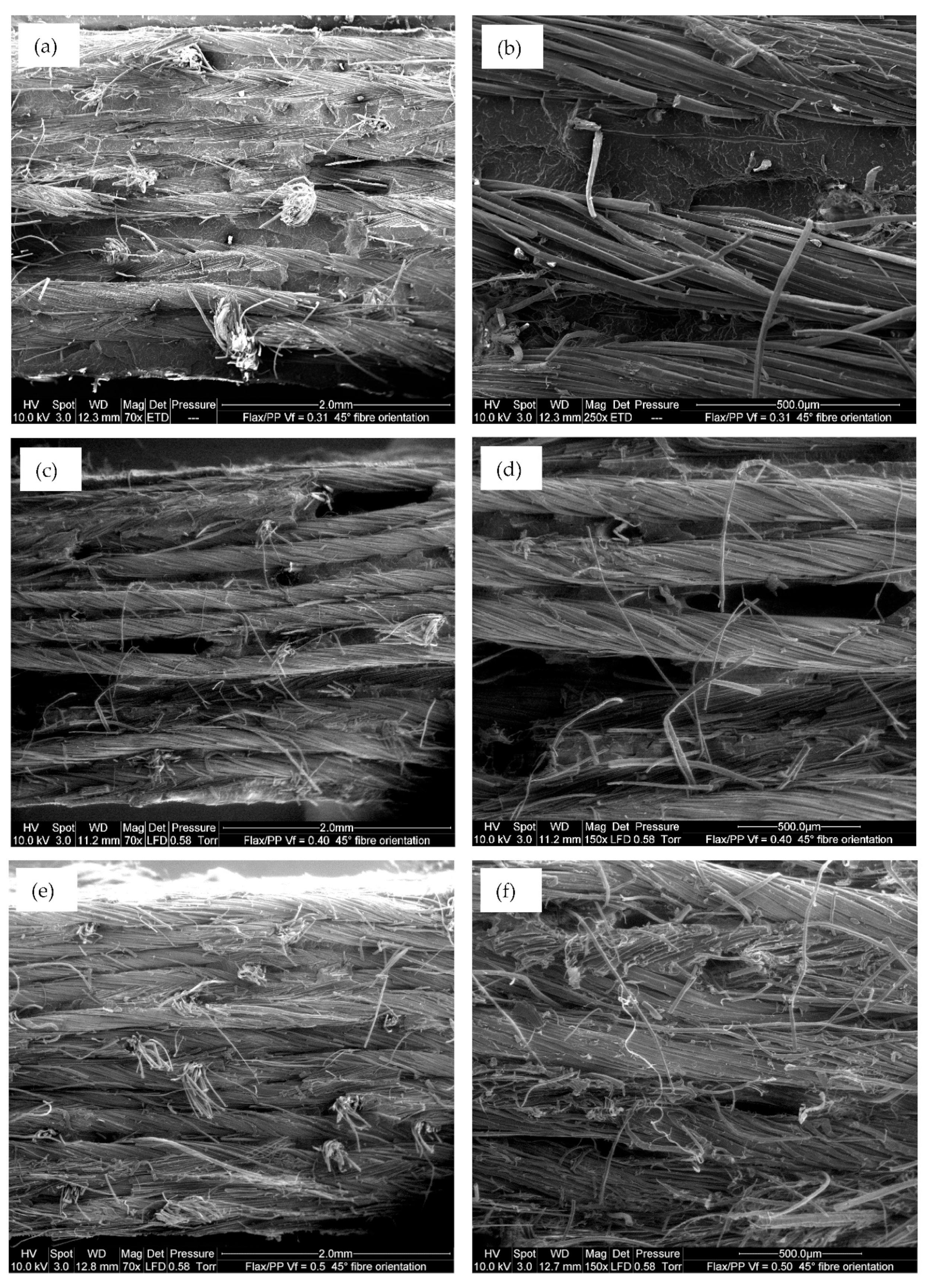 Polymers 15 01042 g006 Polymers 15 01042 g006