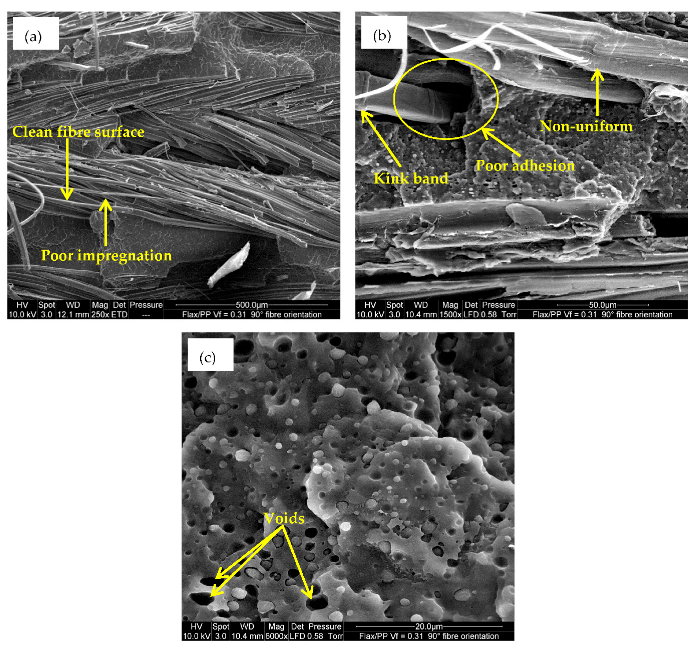 Polymers 15 01042 g014 Polymers 15 01042 g014