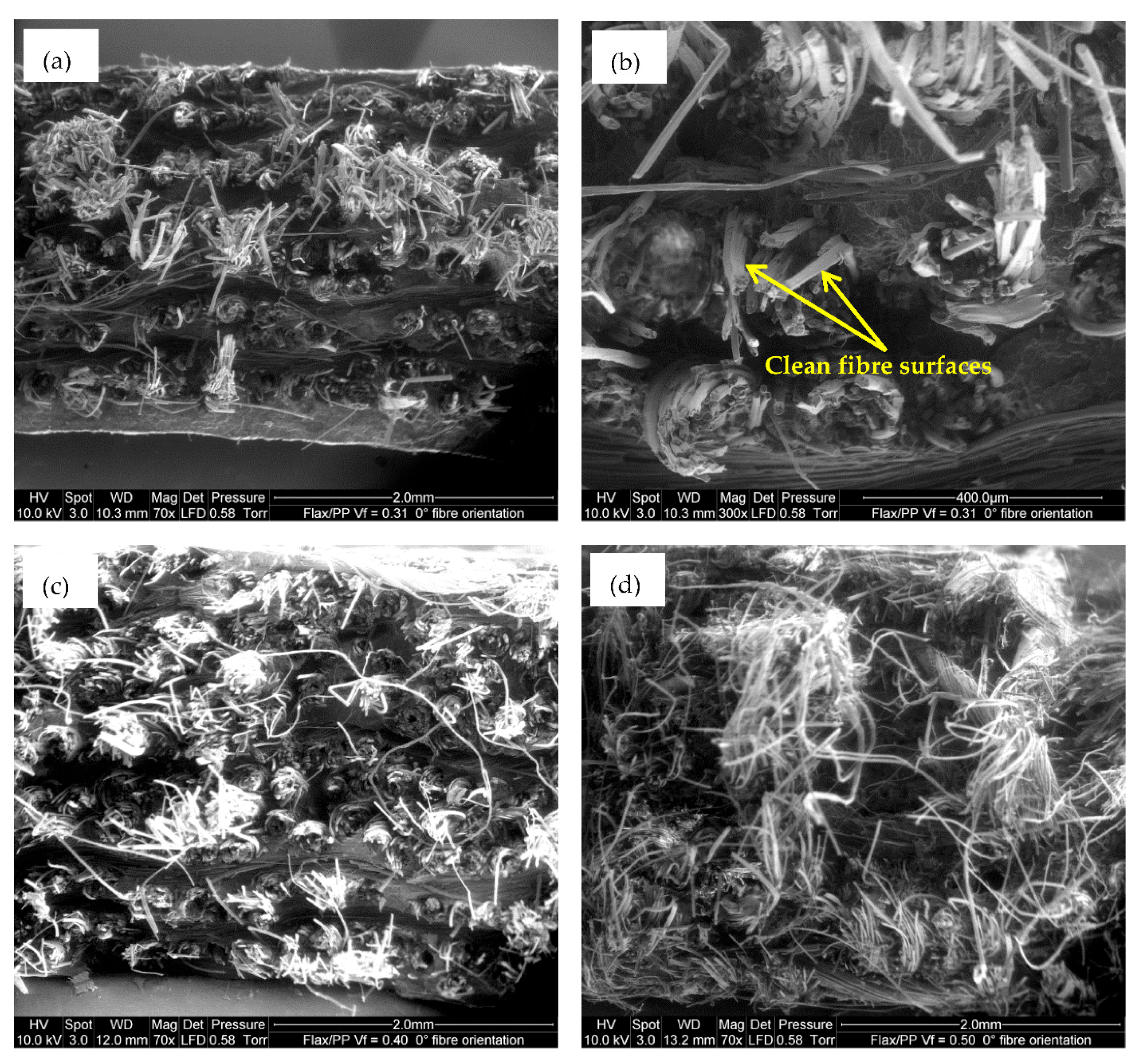 Polymers 15 01042 g019 Polymers 15 01042 g019