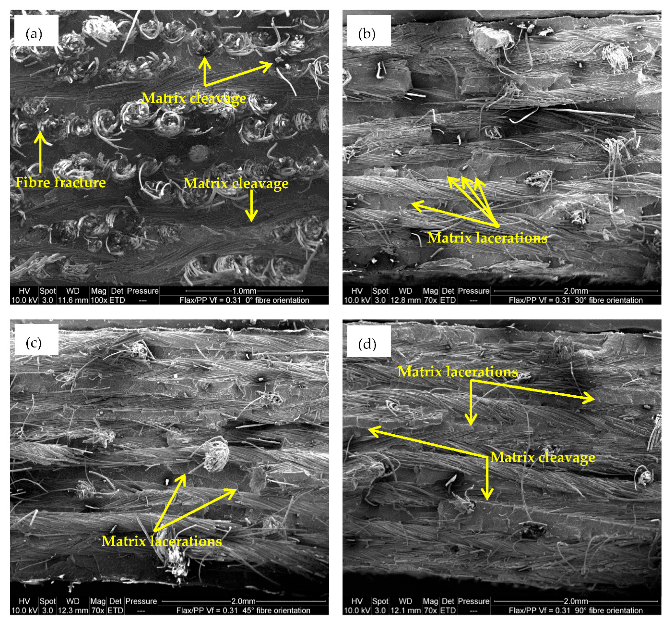 Polymers 15 01042 g020 Polymers 15 01042 g020