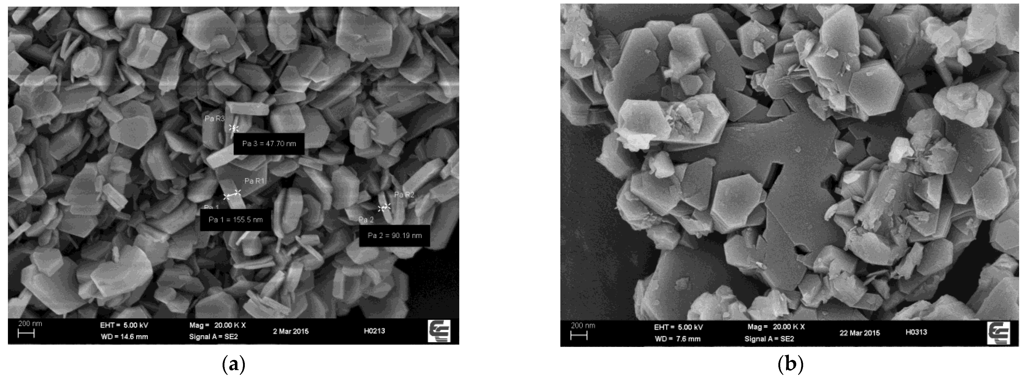 Polymers 15 01043 g010