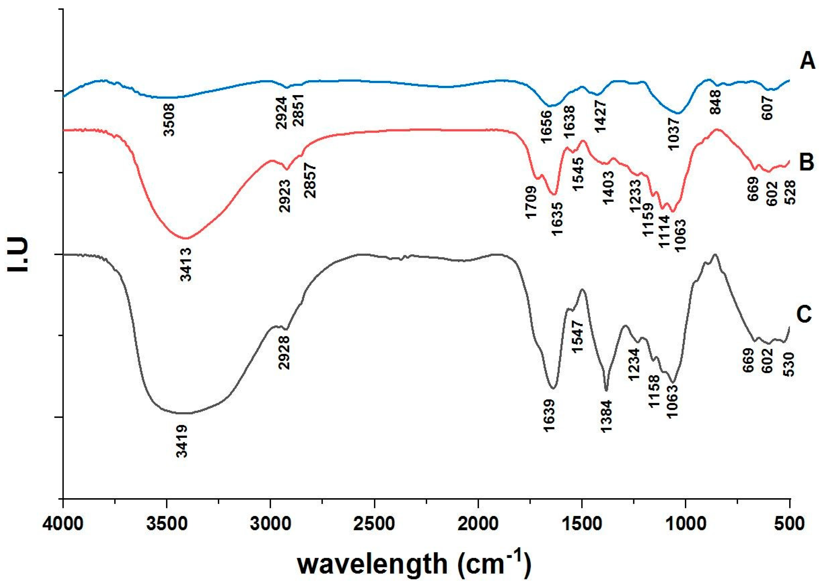 Polymers 15 01047 g001