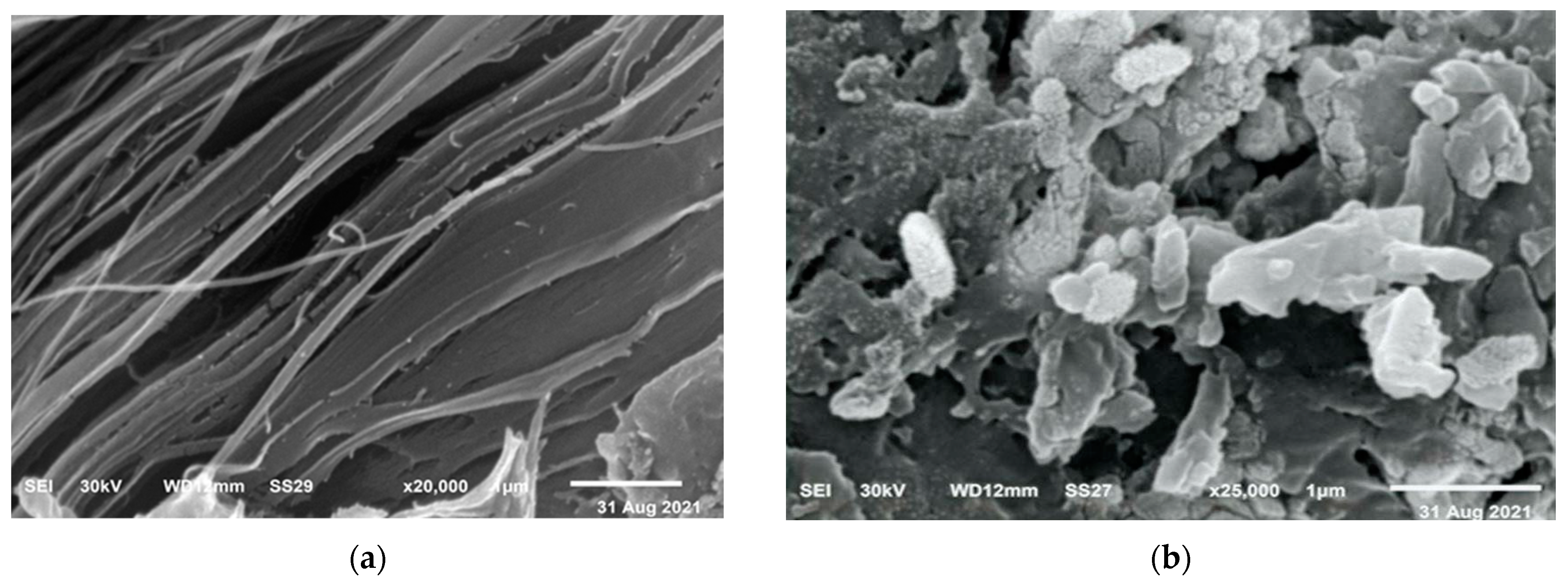 Polymers 15 01047 g002
