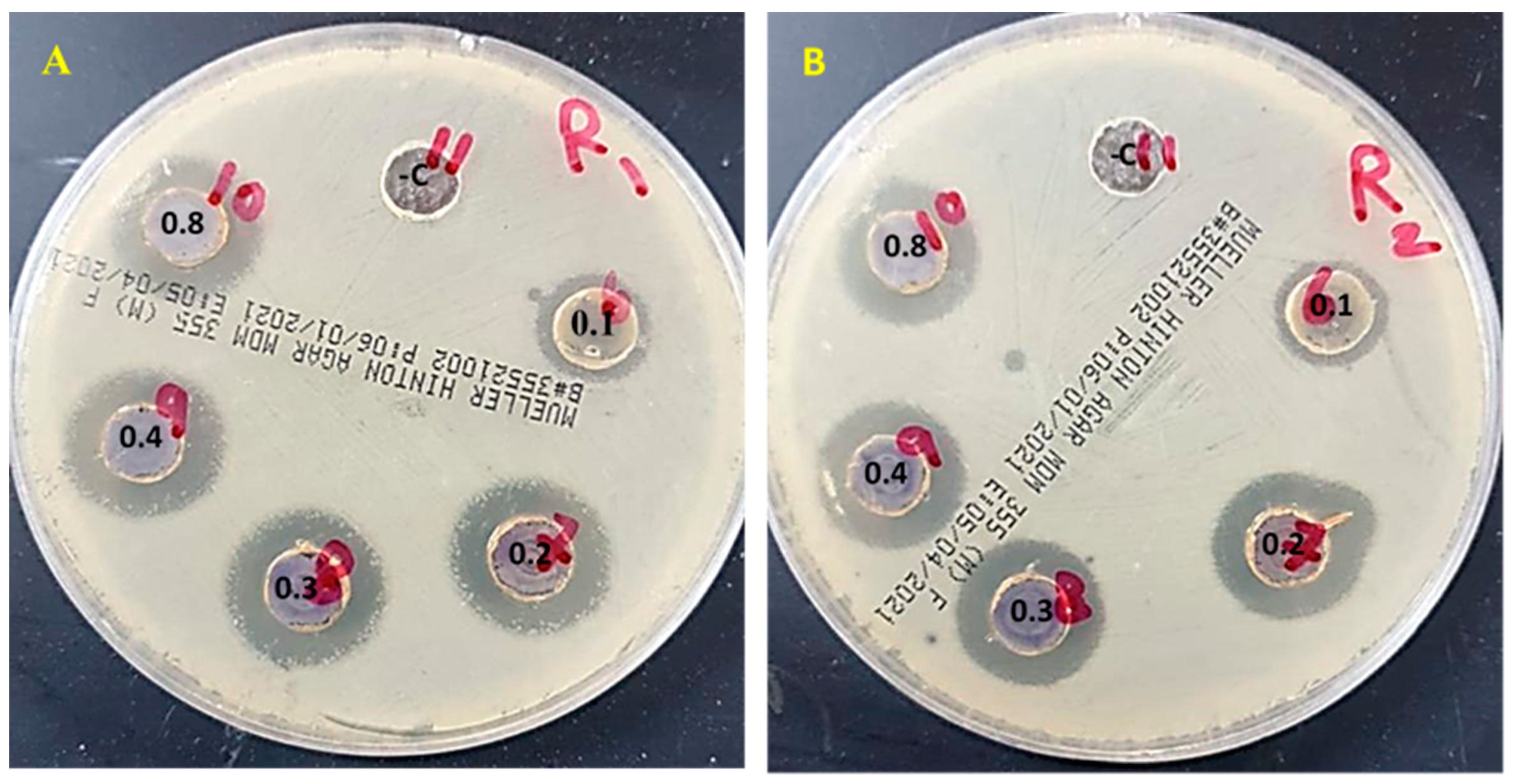 Polymers 15 01047 g009