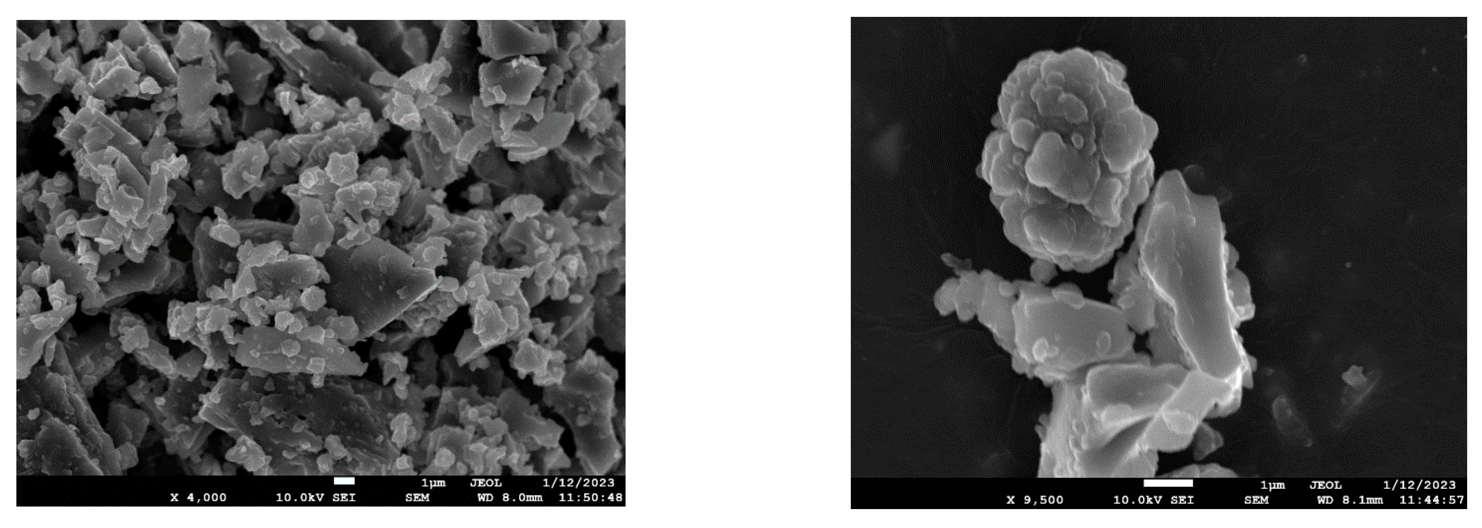 Polymers 15 01049 g001