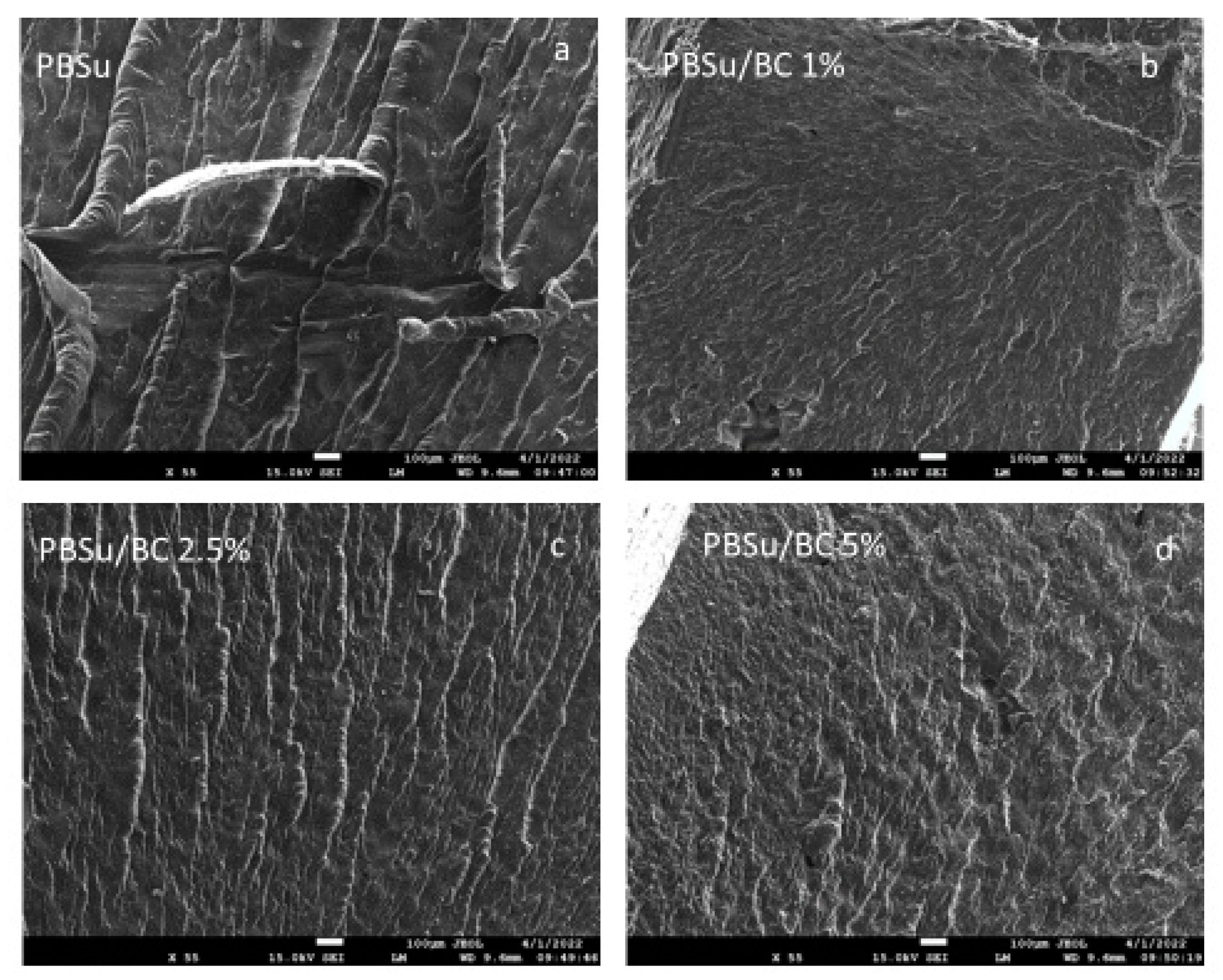 Polymers 15 01049 g013