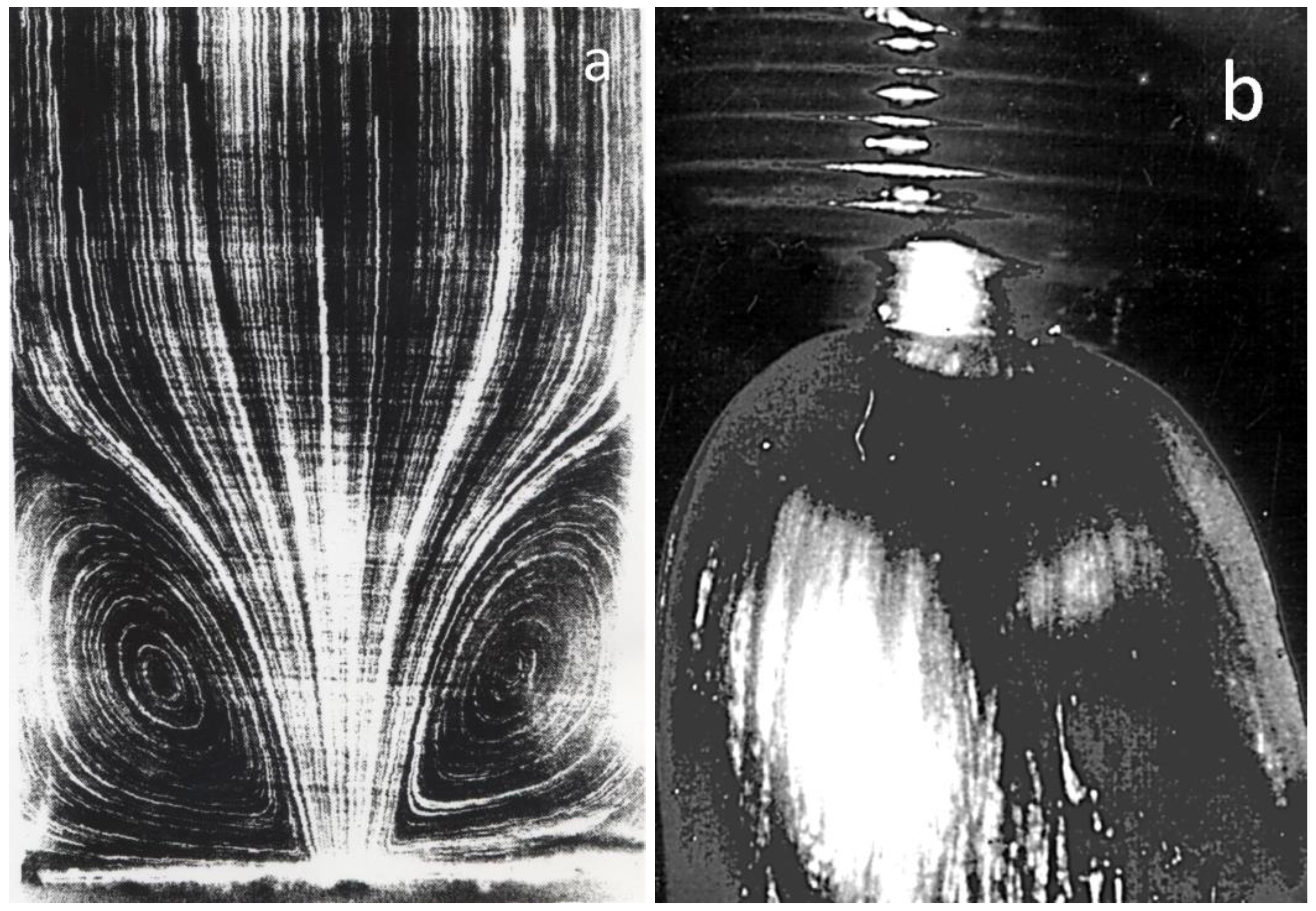 Polymers 15 01051 g004 550
