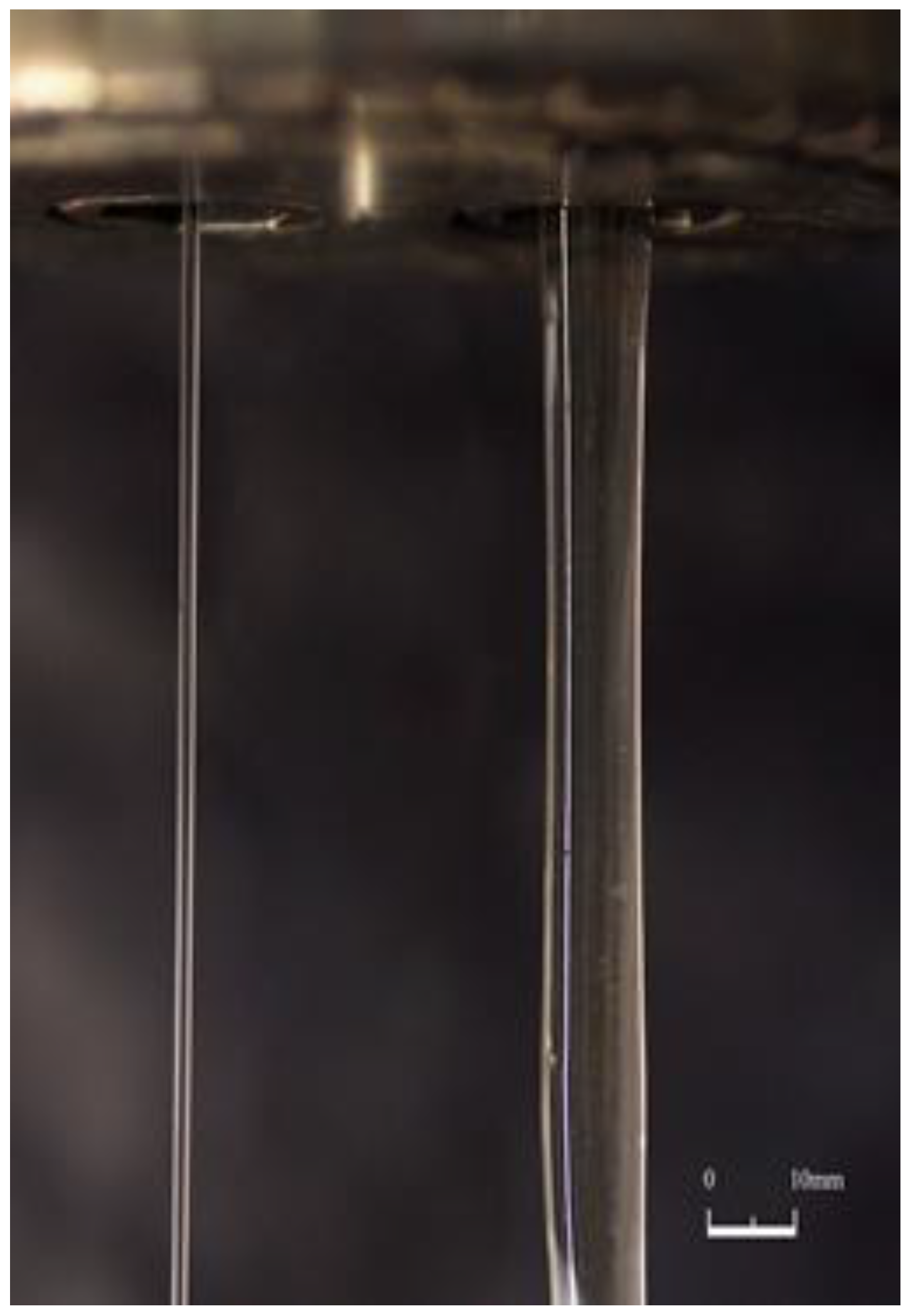 Polymers 15 01051 g007 550