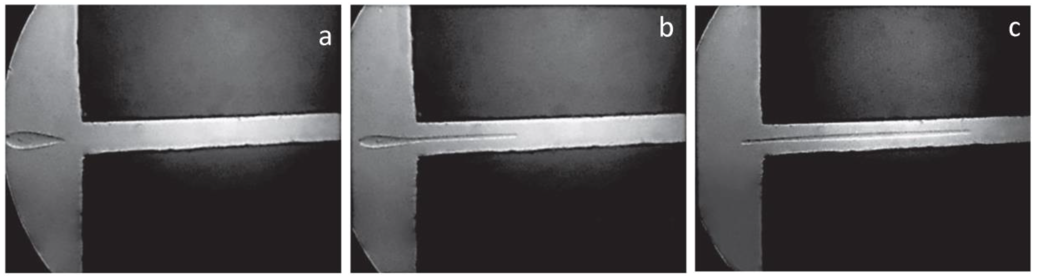 Polymers 15 01051 g008 550