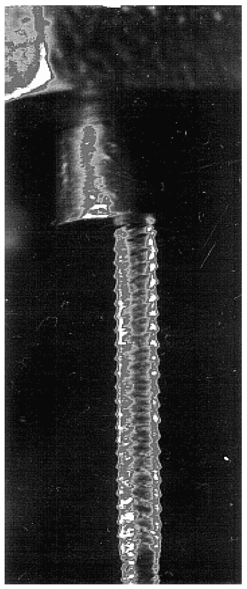 Polymers 15 01051 g009 550