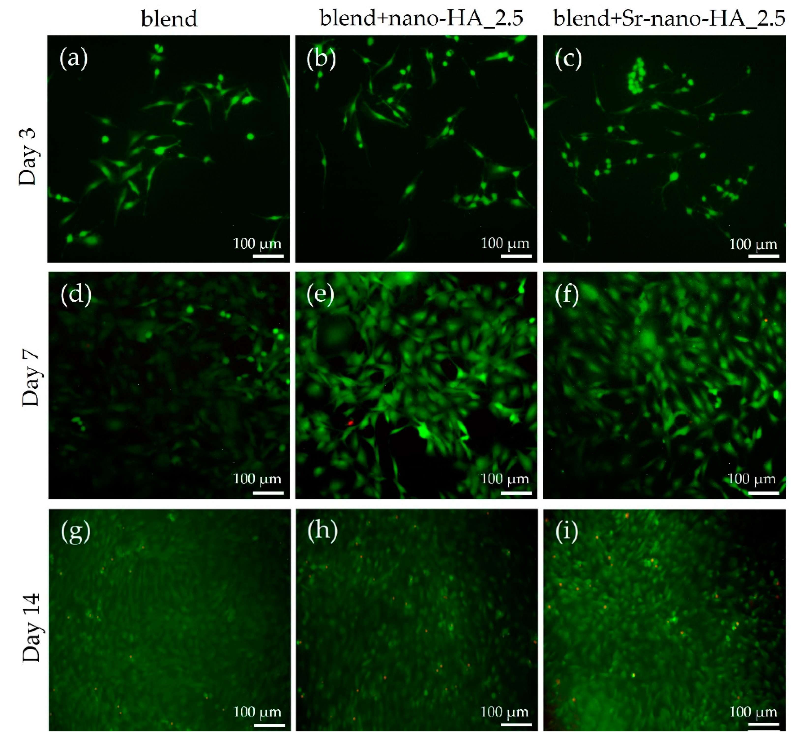 Polymers 15 01052 g008 Polymers 15 01052 g008
