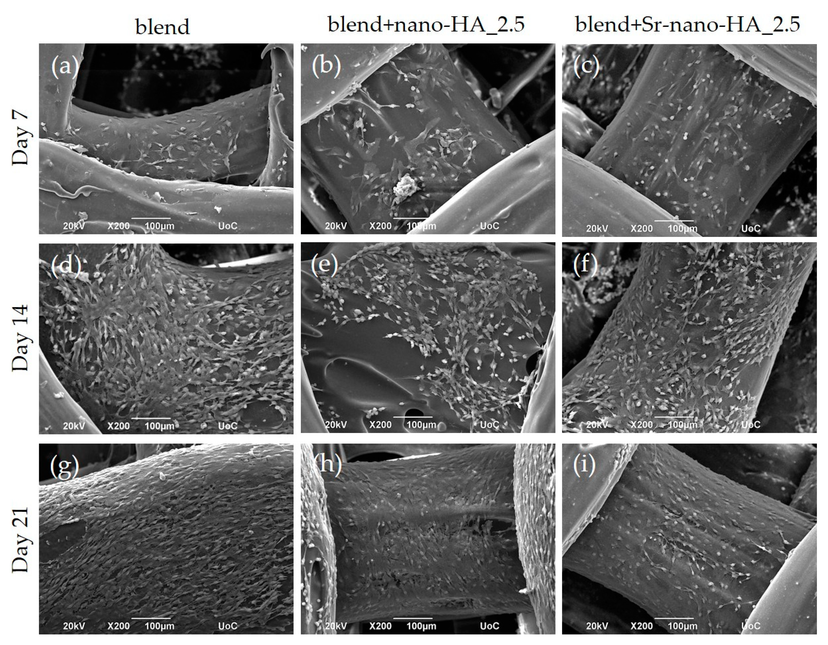 Polymers 15 01052 g009 Polymers 15 01052 g009