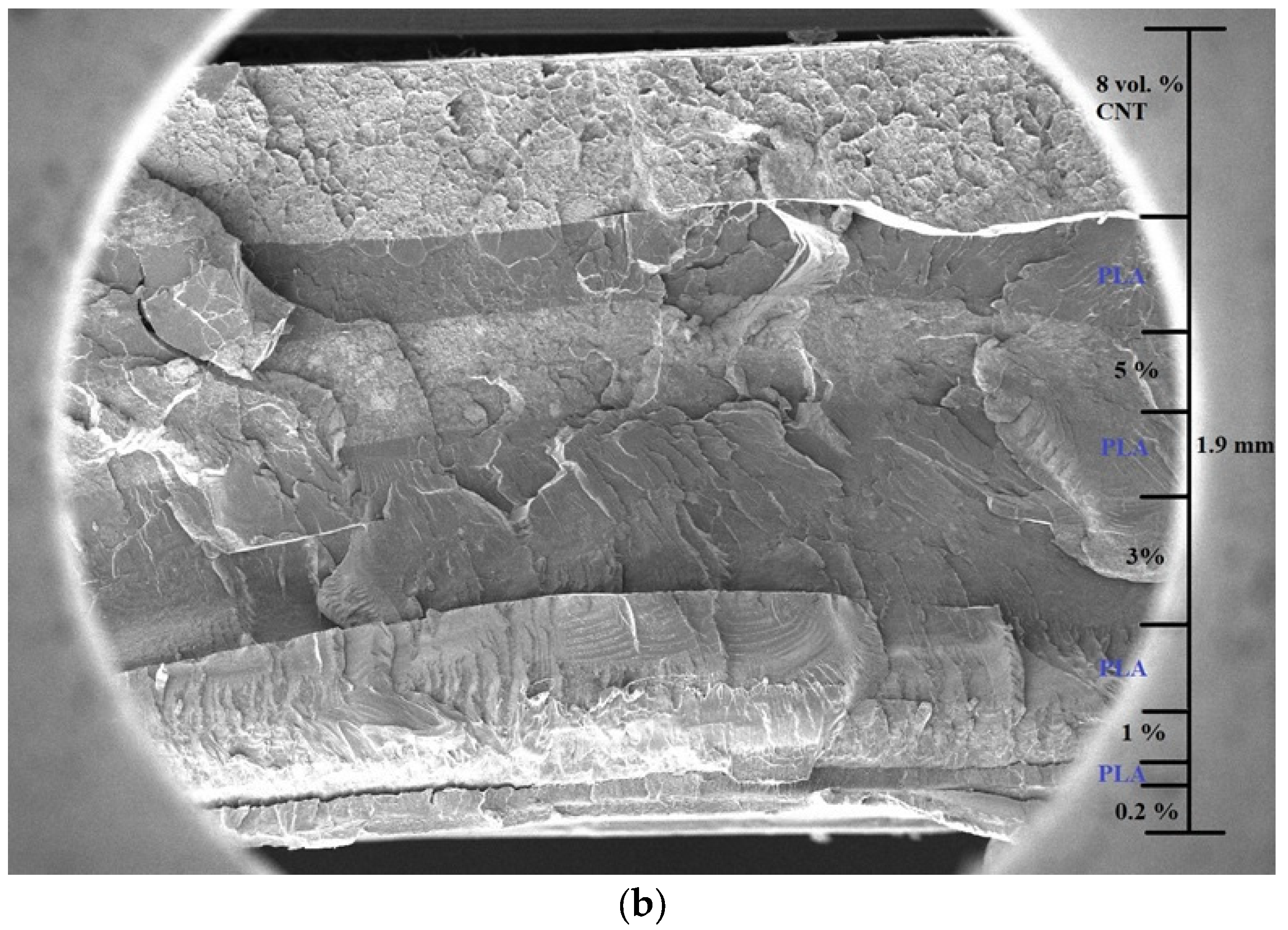 Polymers 15 01053 g004b