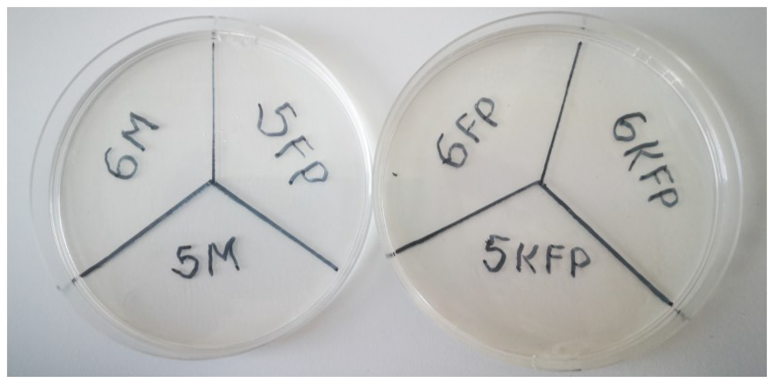 Polymers 15 01057 g016 Polymers 15 01057 g016