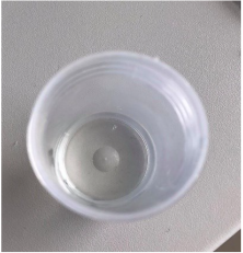 Polymers 15 01057 i013 Polymers 15 01057 i013