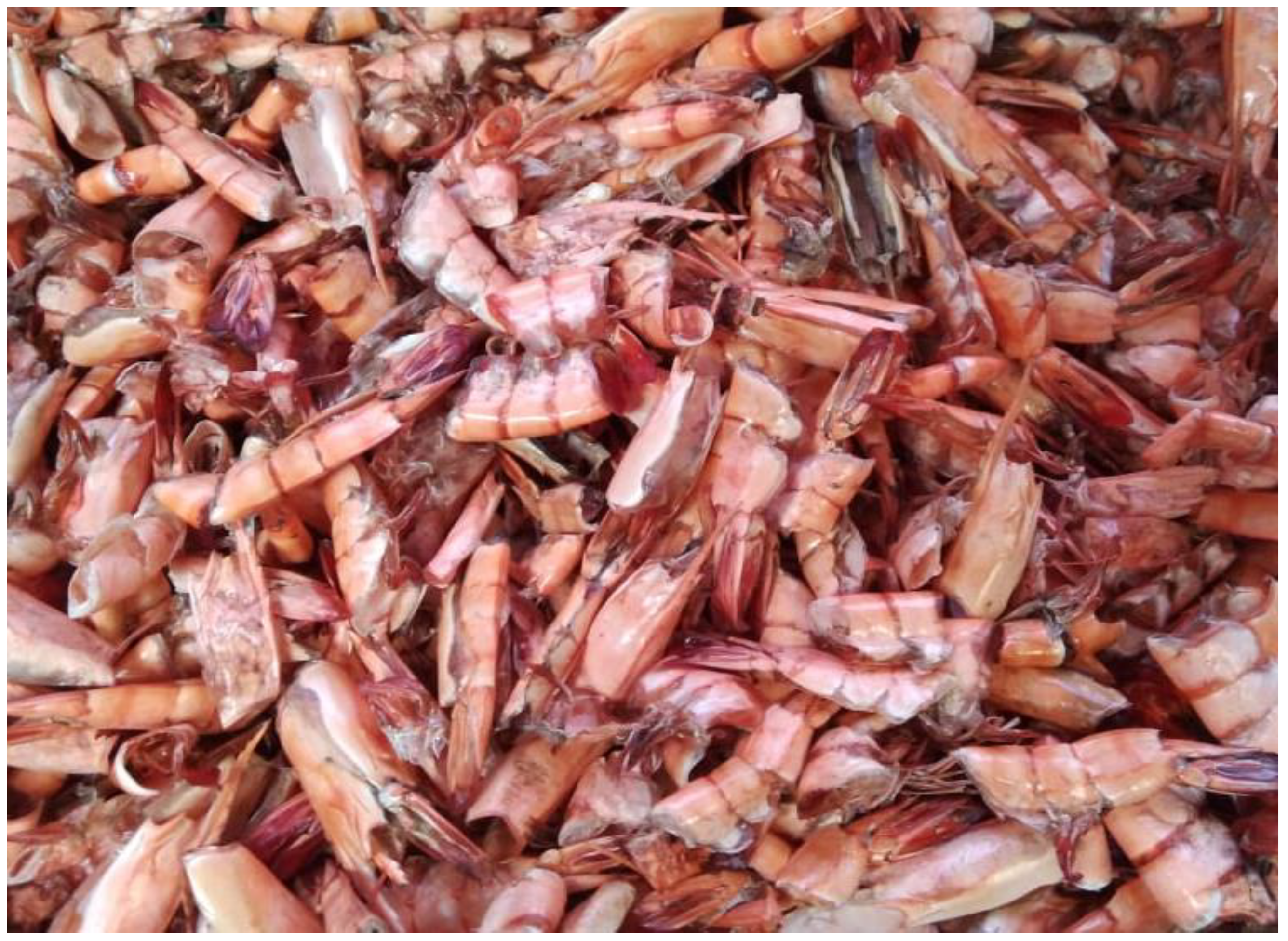 Polymers 15 01058 g001 Polymers 15 01058 g001