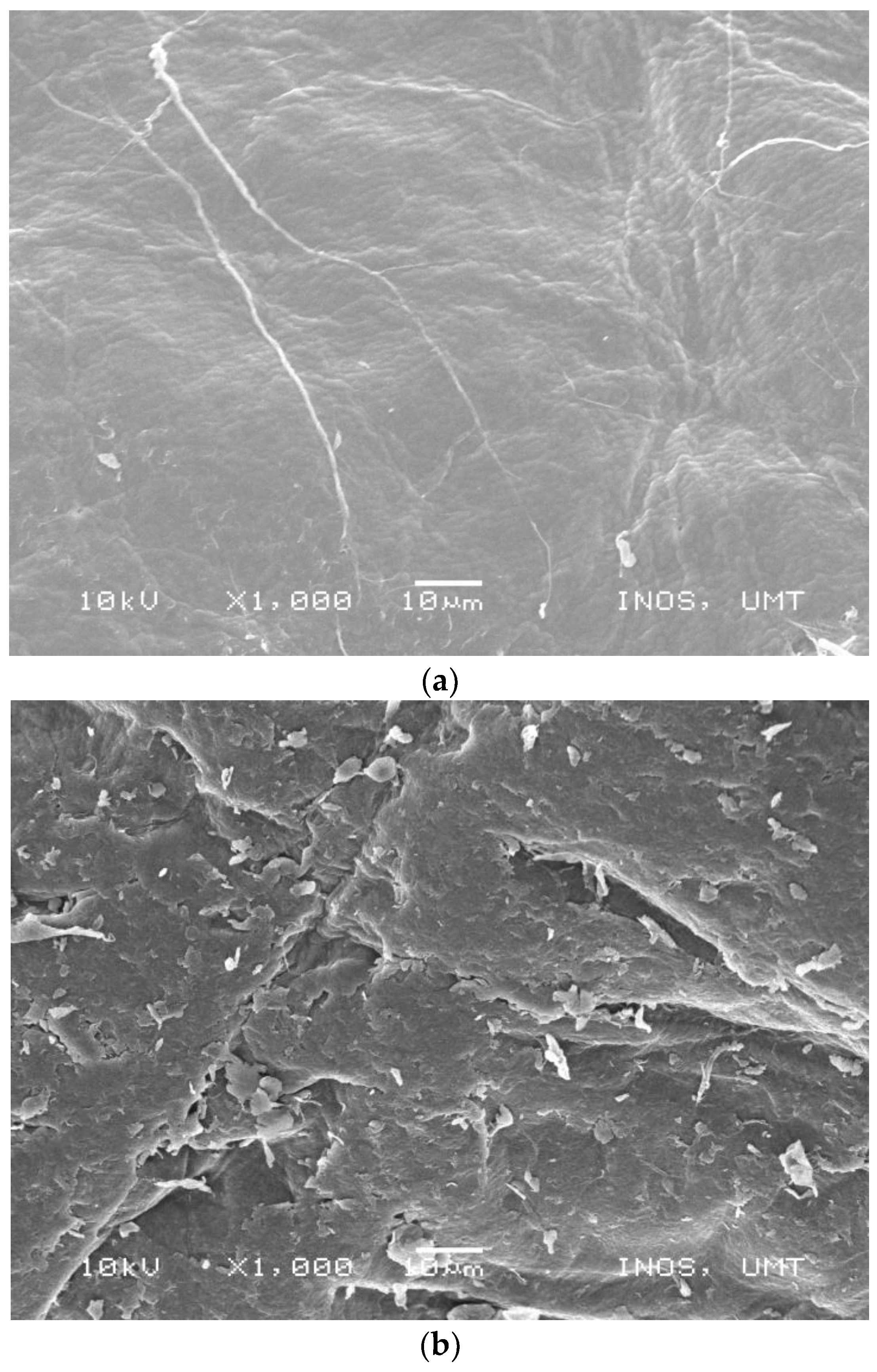 Polymers 15 01058 g005 Polymers 15 01058 g005