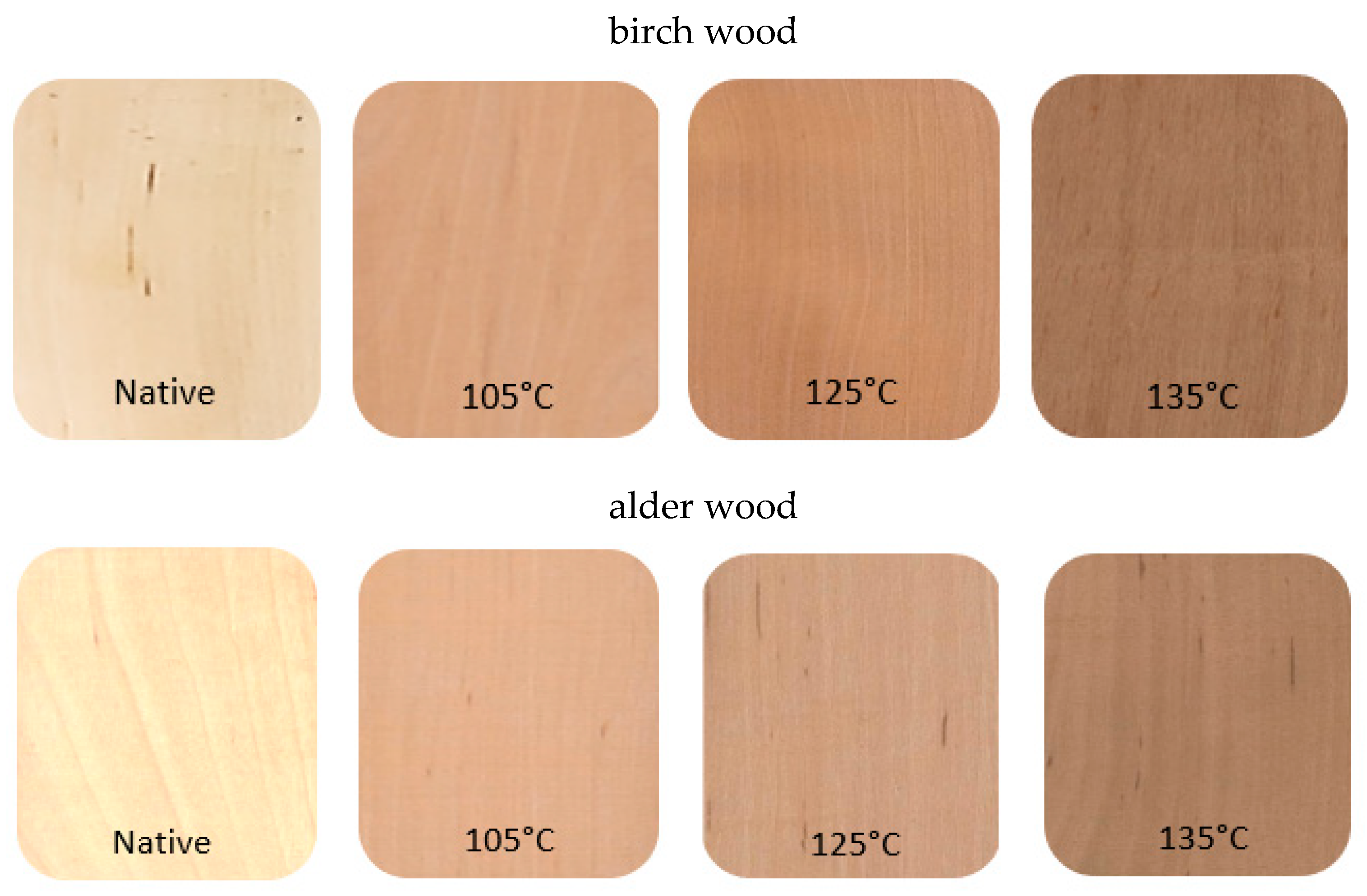 Polymers 15 01059 g006b Polymers 15 01059 g006b
