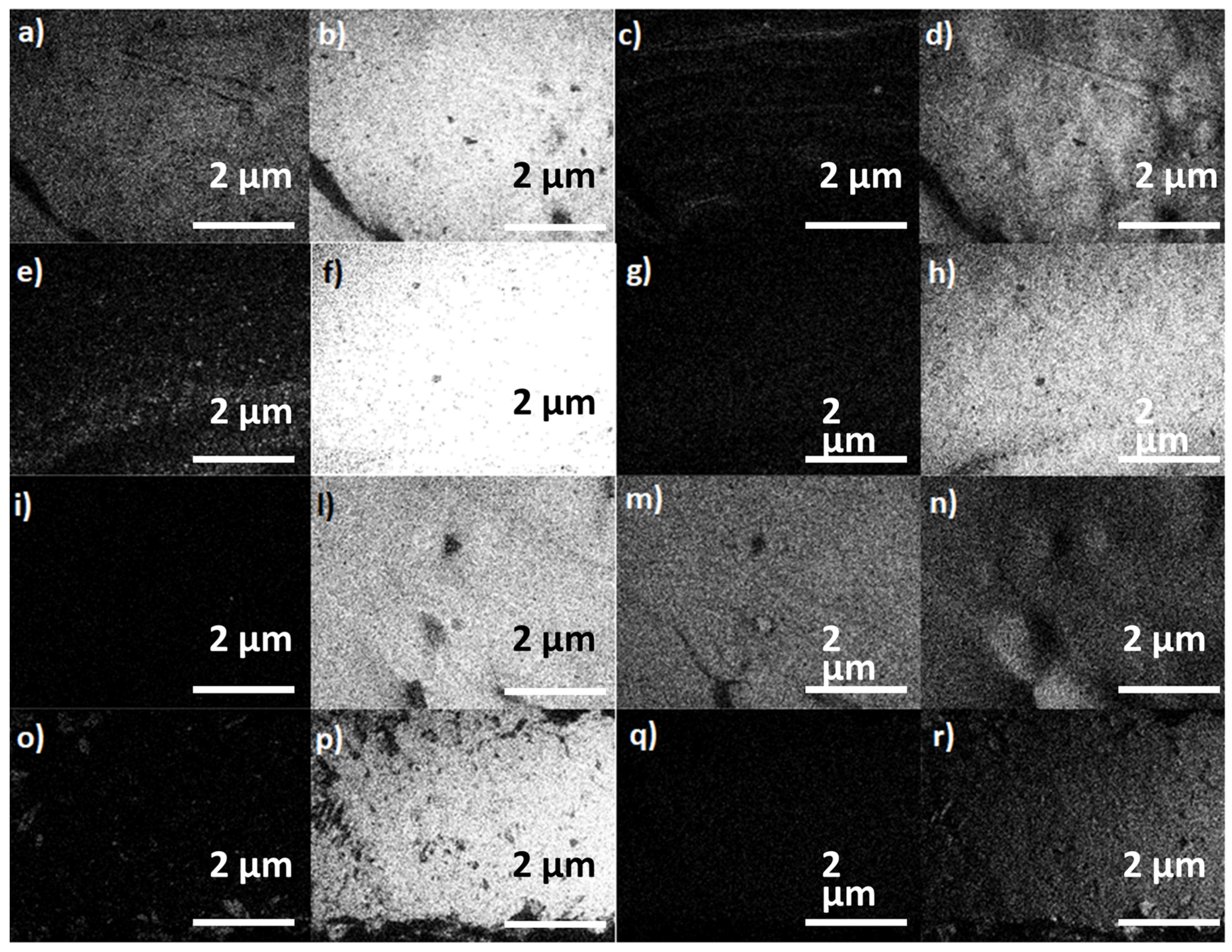 Polymers 15 01061 g008