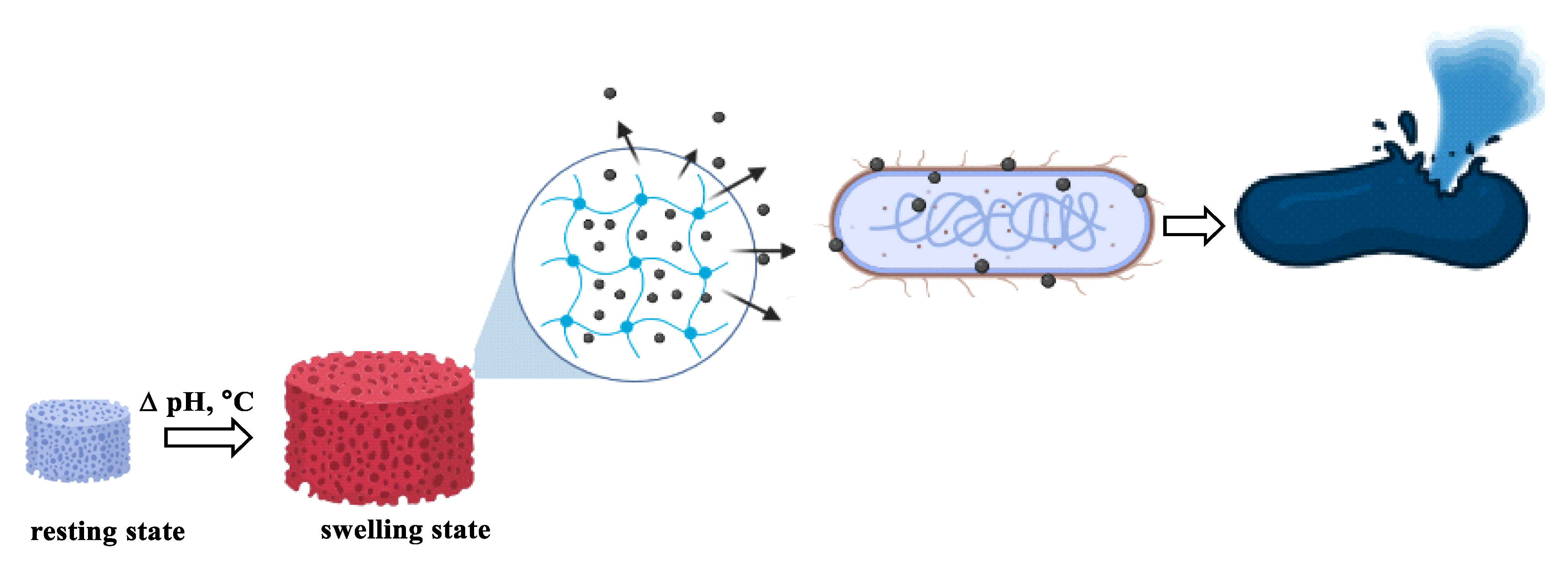 Polymers 15 01062 g017 Polymers 15 01062 g017